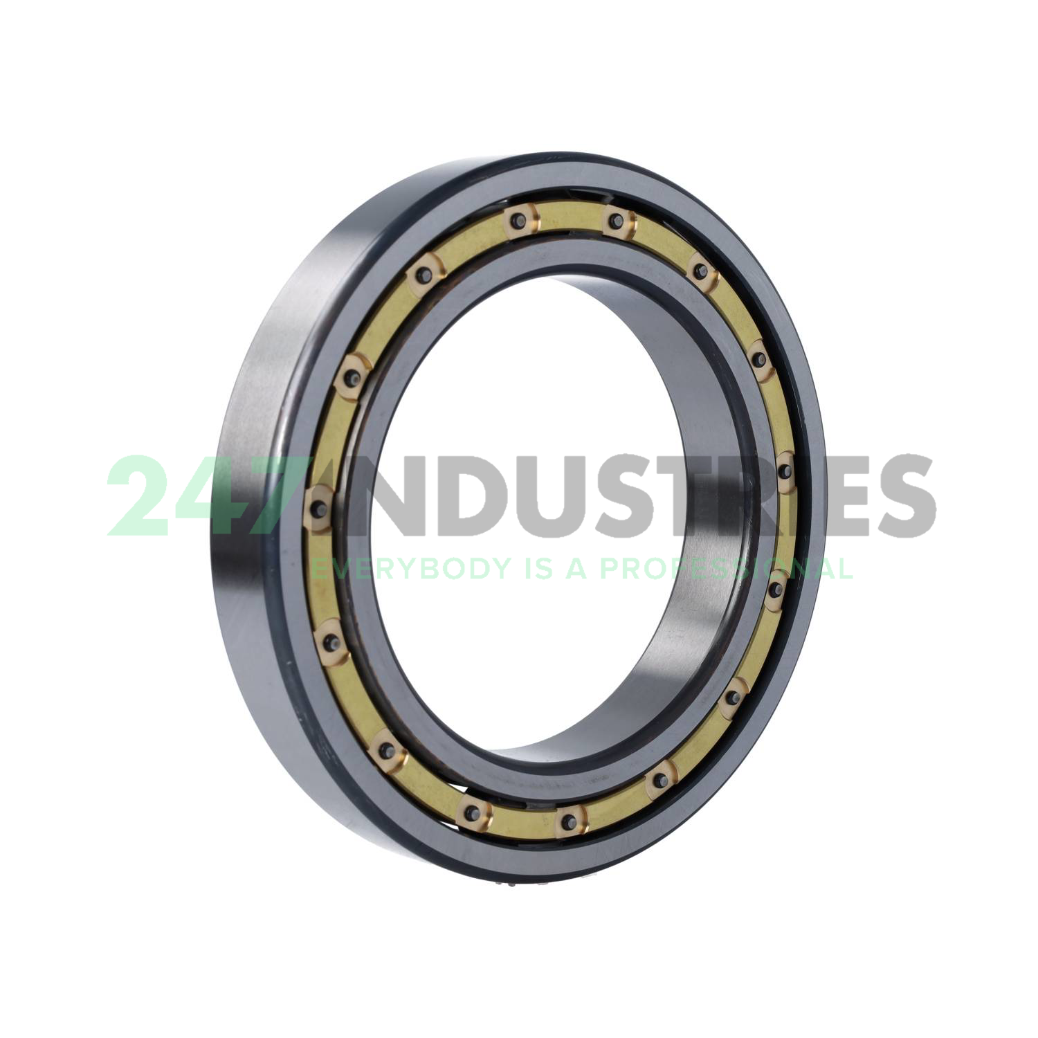 6024-M-C4 FAG Image 2