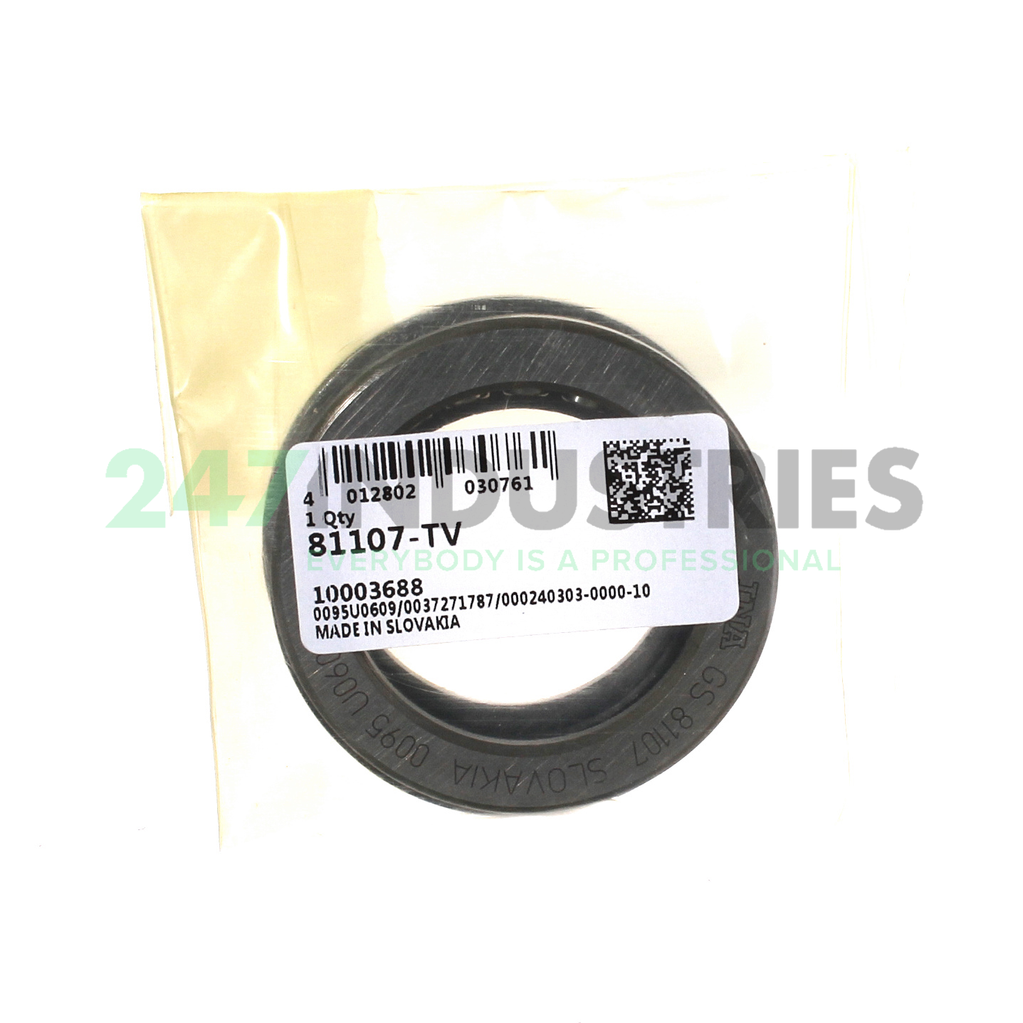 81107-TV INA Image 1