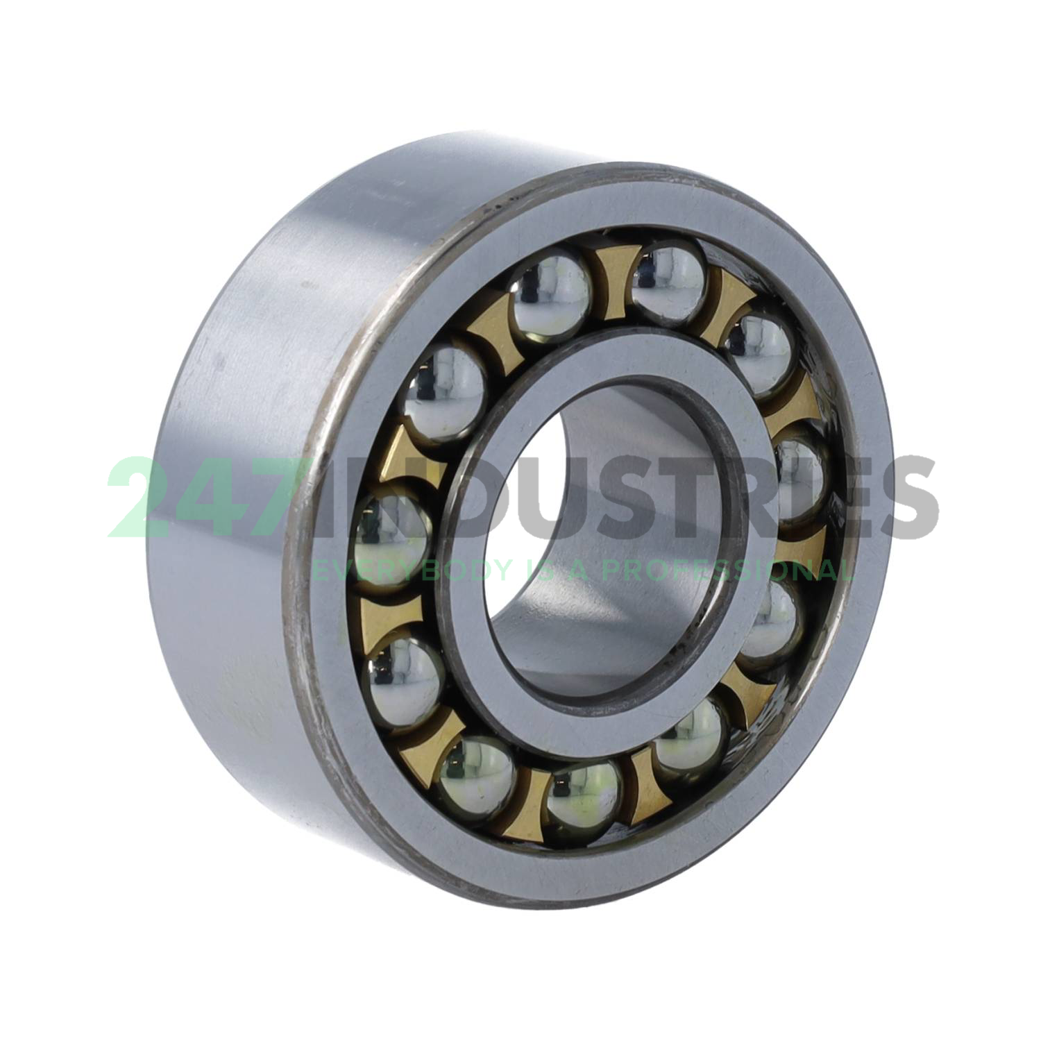 2306M/P6 SKF Image 2