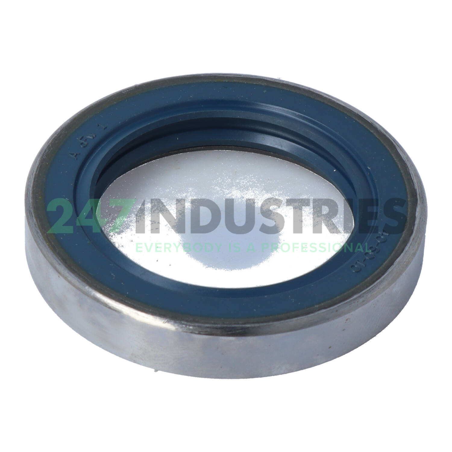 B2SL 40X60X10 Freudenberg Image 2