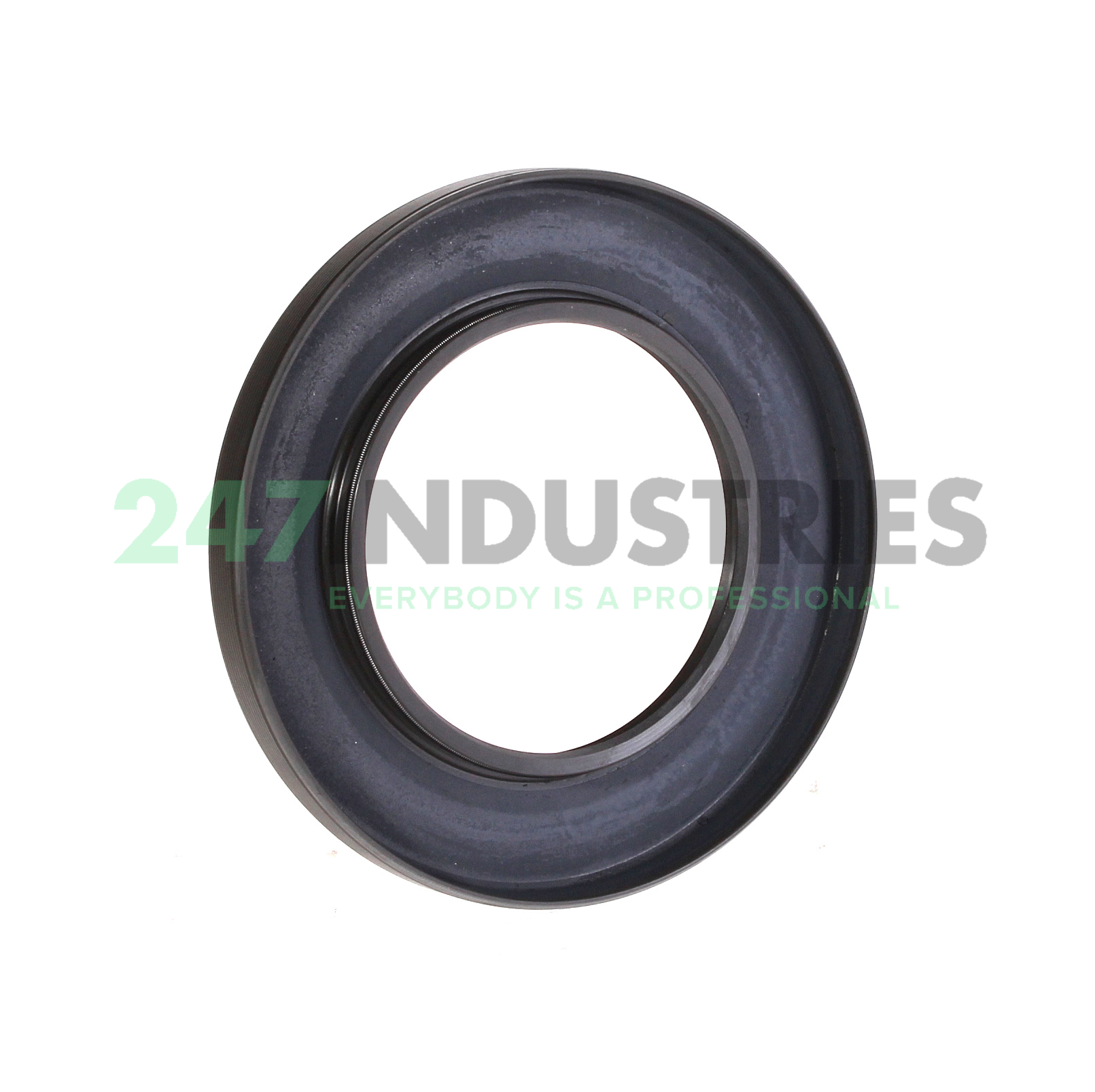 60X100X10HMSA10RG SKF Image 2