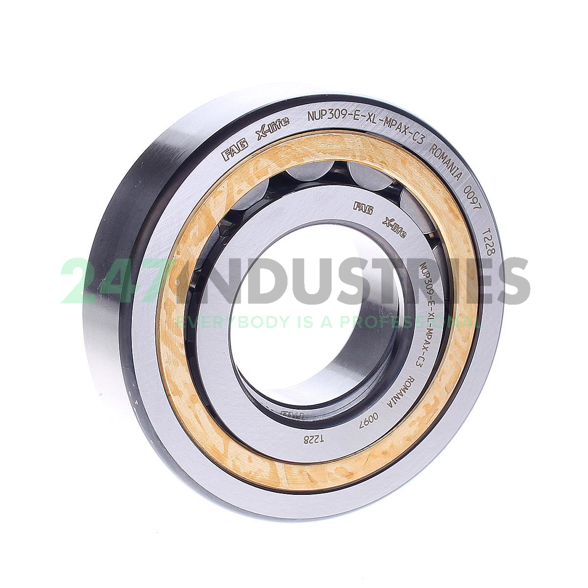 NUP309-E-XL-MPAX-C3 FAG