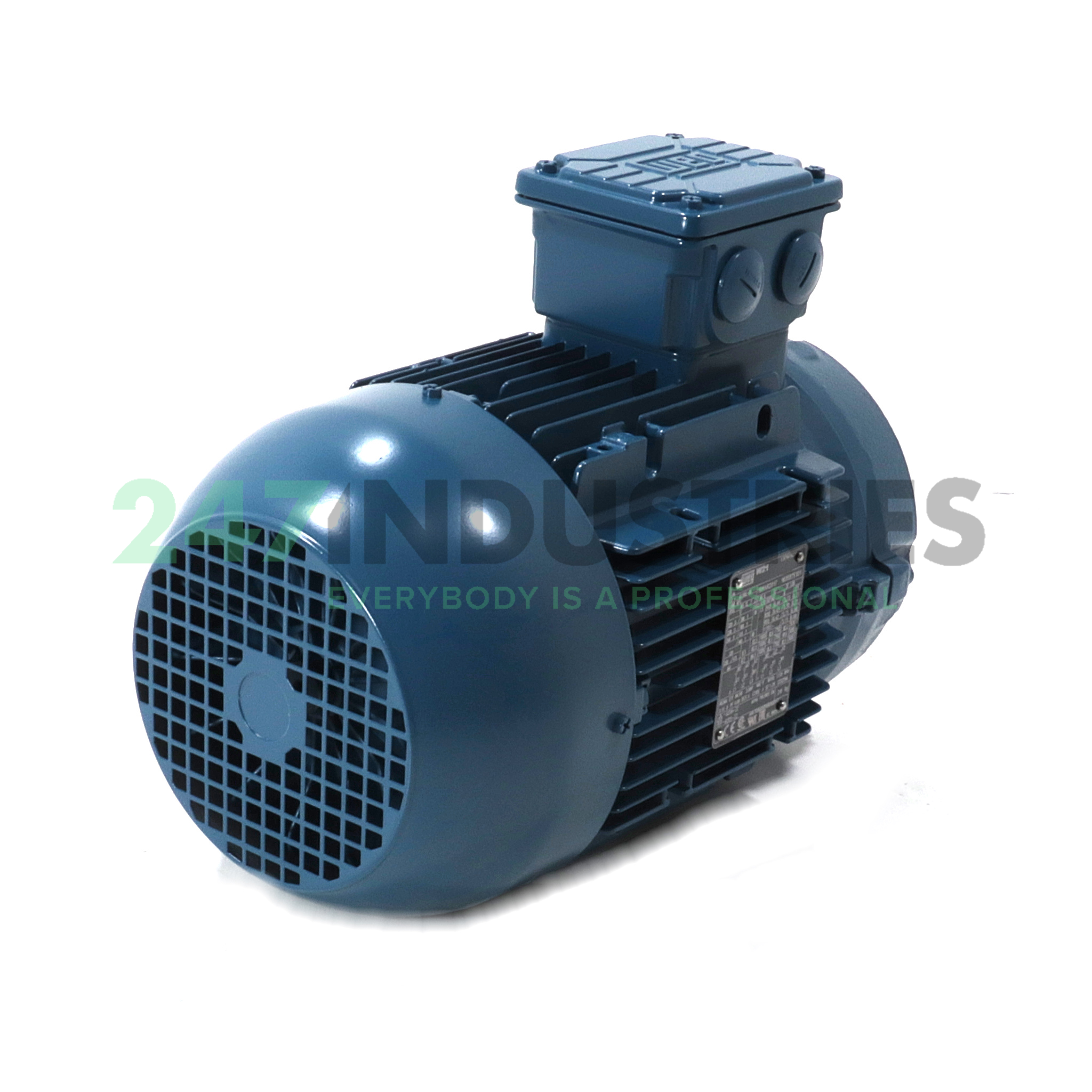 1.5K31AL3100L6B14 WEG Image 3