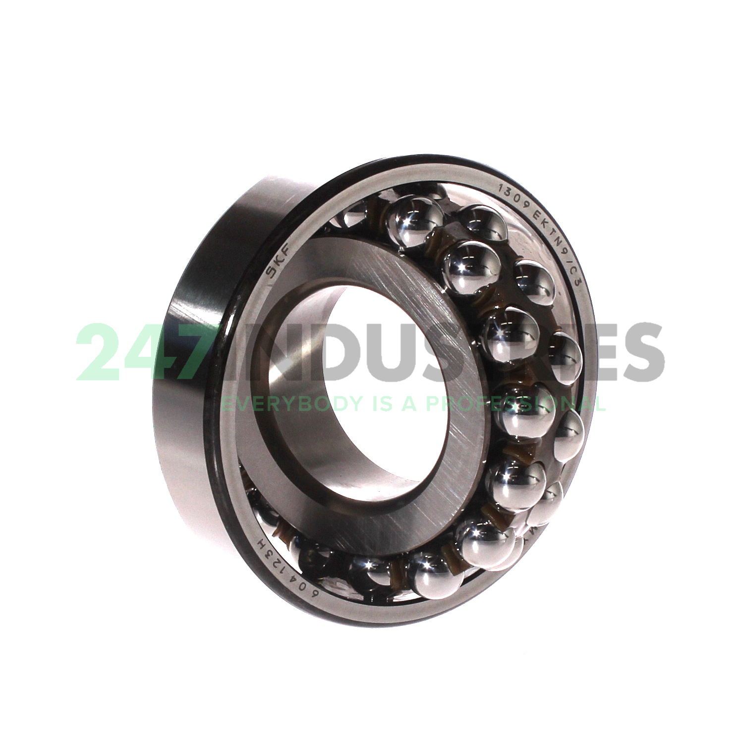1309EKTN9/C3 SKF Image 2