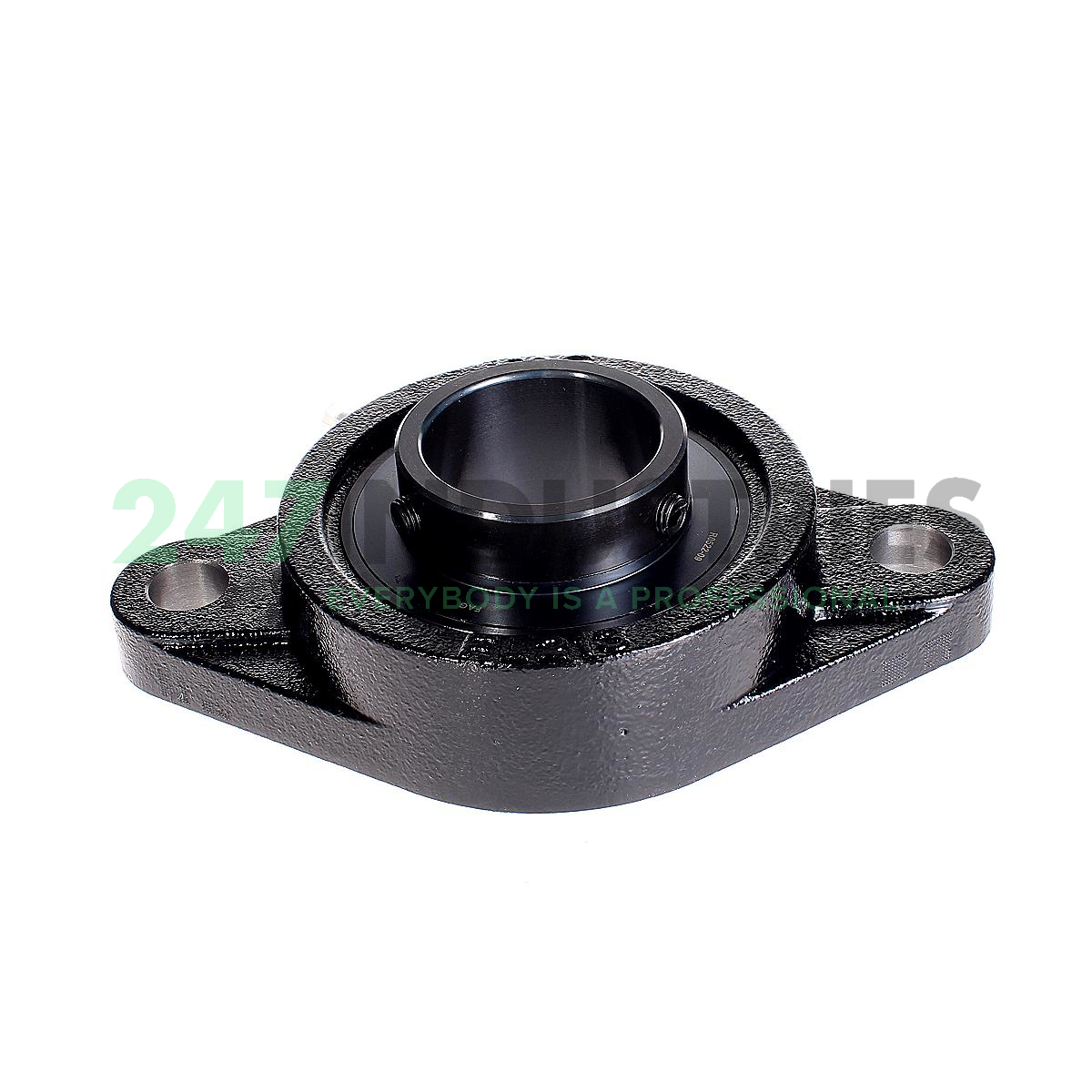 UCFL213-J7 FAG Image 1