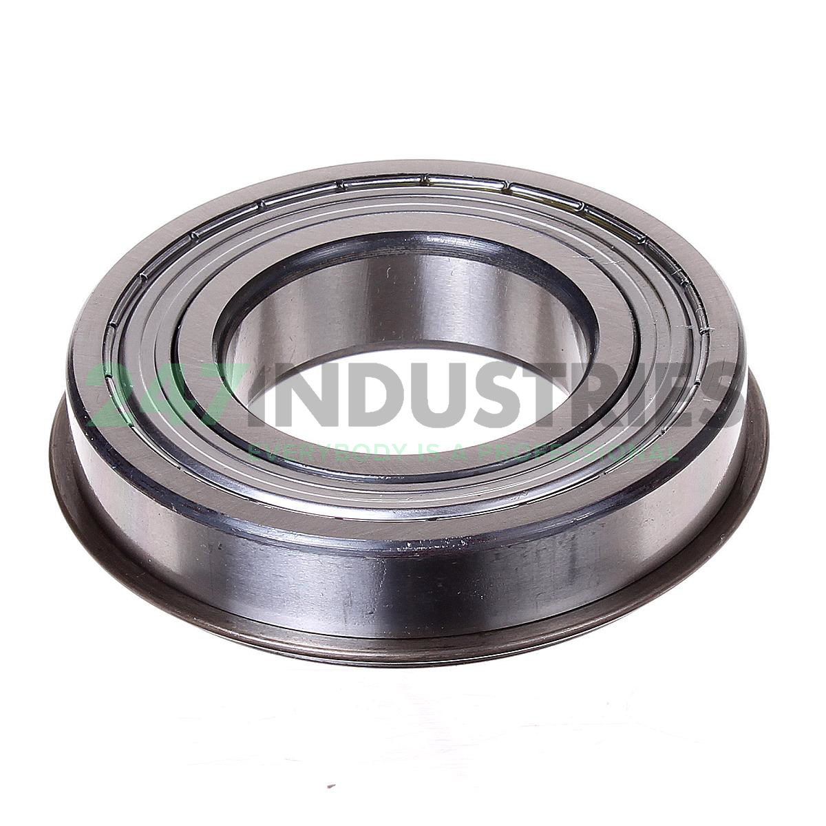 6209-ZNR SKF Image 2