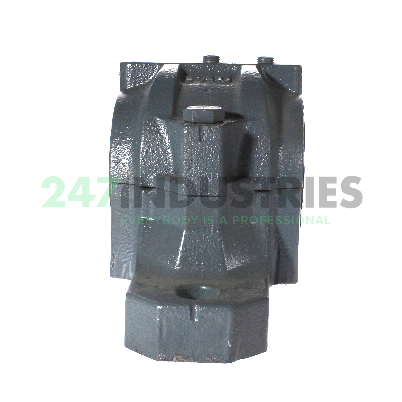 SNV100-F-L FAG Image 2