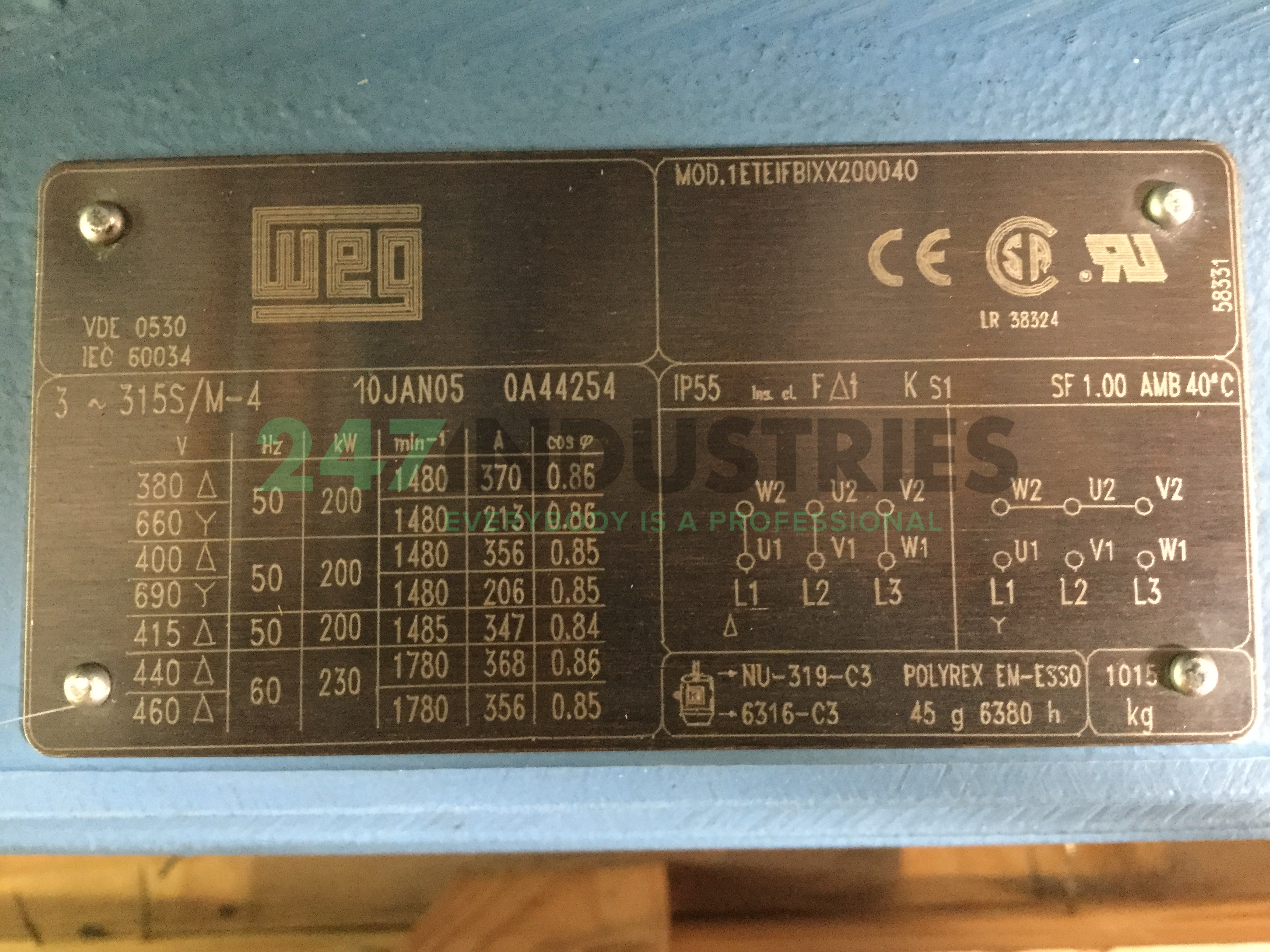 200K32CI0315S/M4B3 WEG Image 4