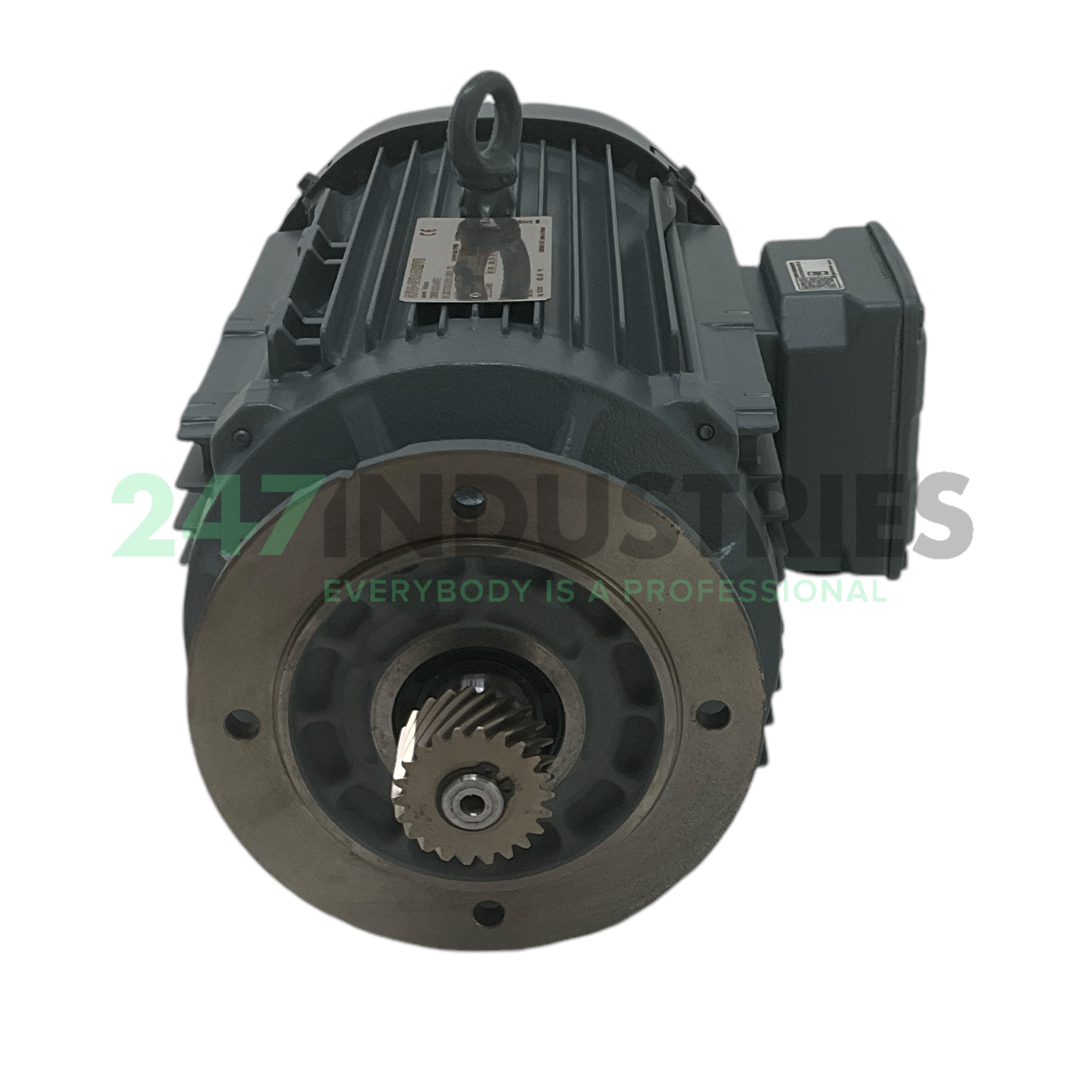 DRN100L4/FG SEW-EURODRIVE Image 2