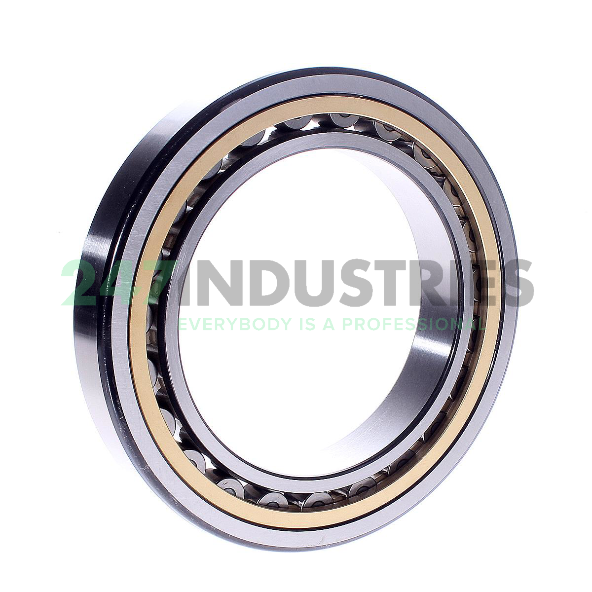 NU1024ML SKF Image 3