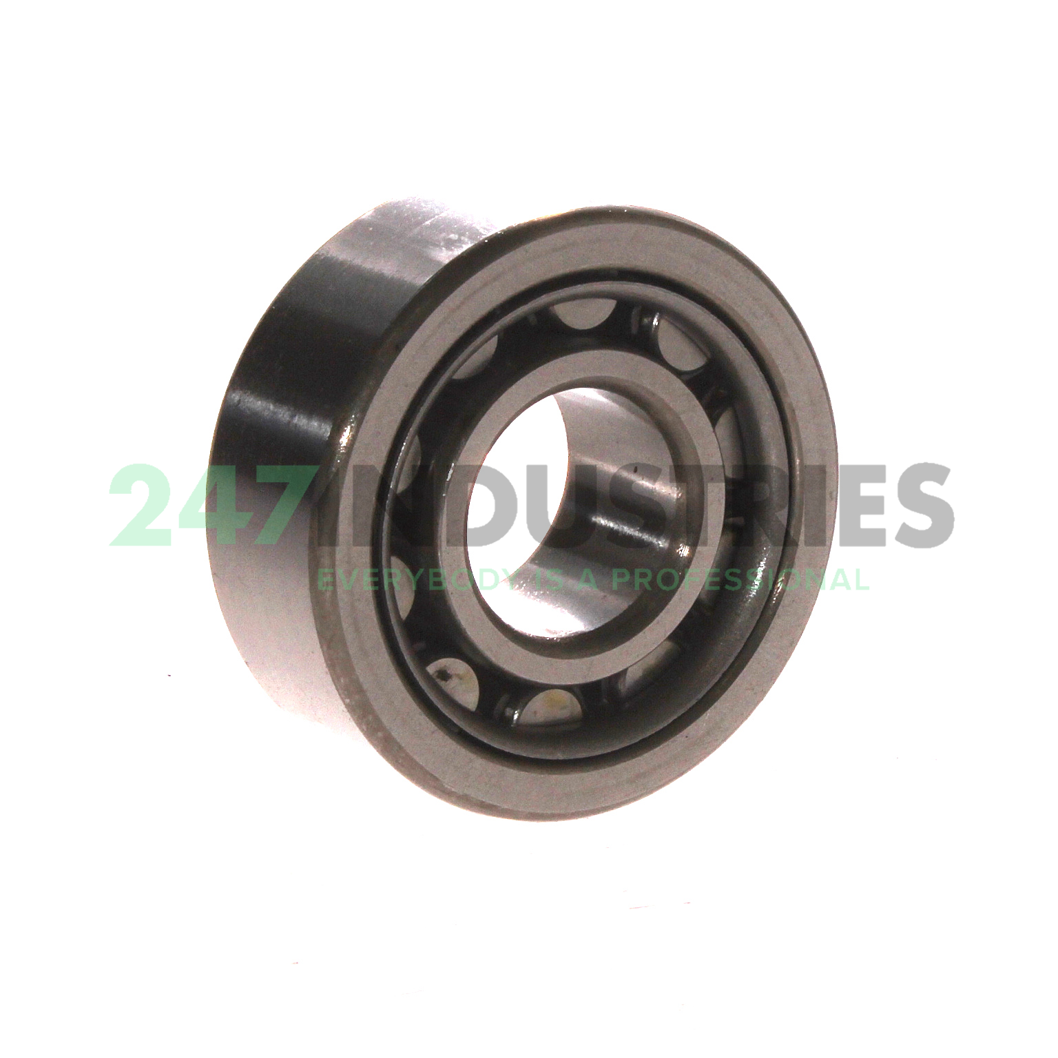 NU2305W NSK Image 2