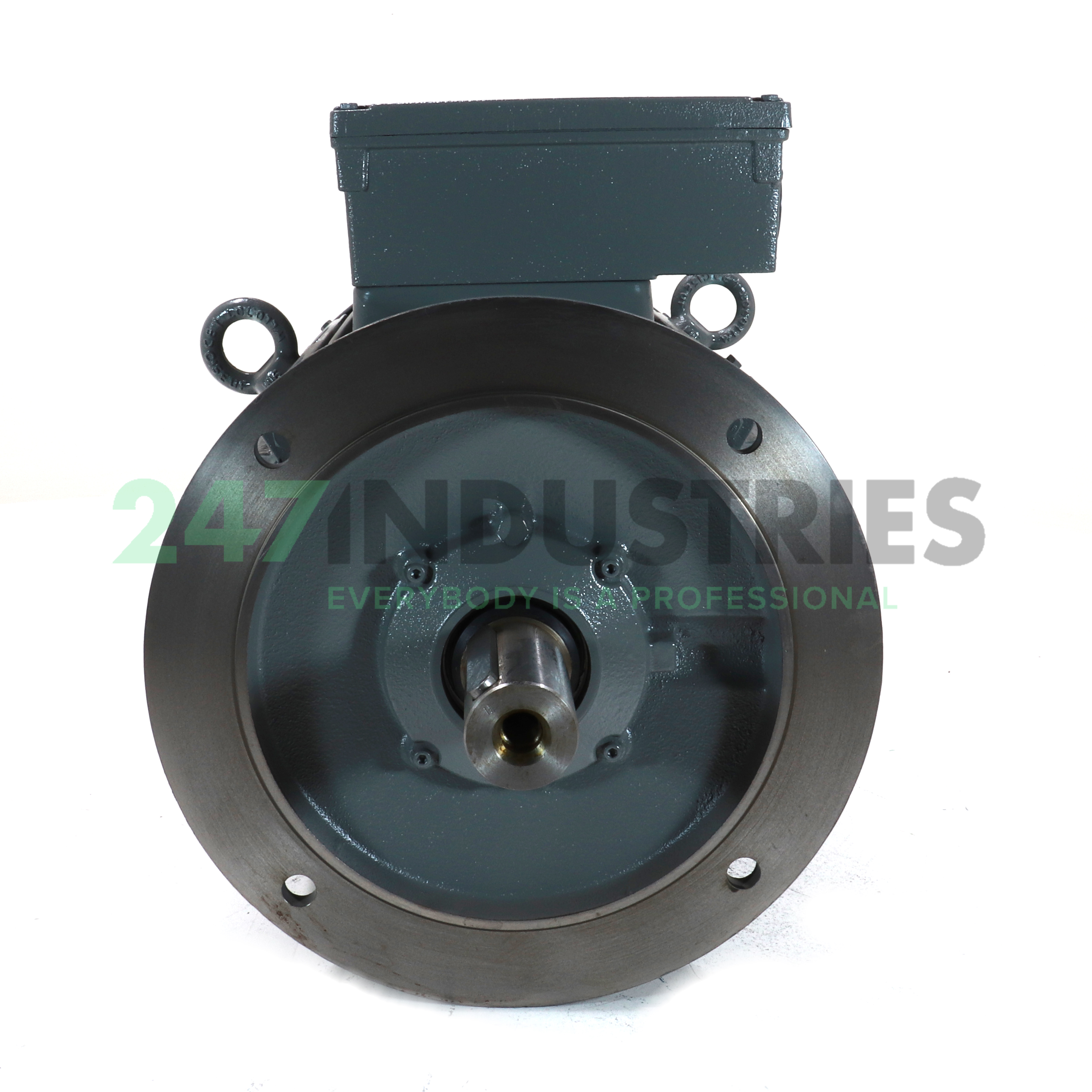 16BG207-6AA61-Z Lönne Image 3