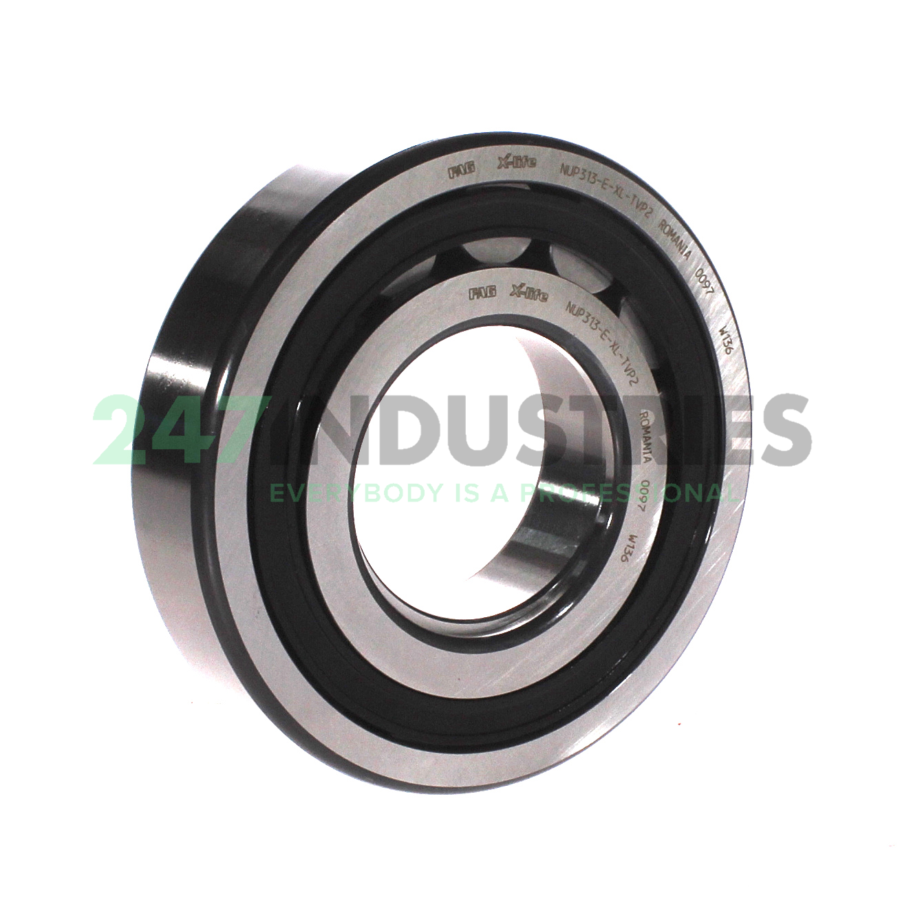 NUP313-E-XL-TVP2 FAG