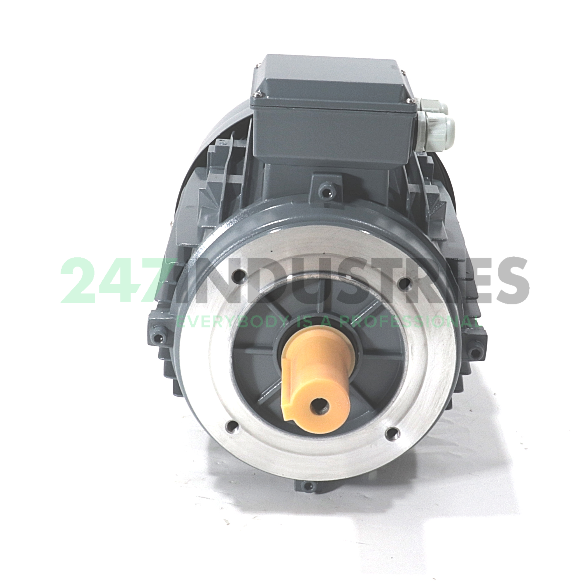 MS132M-4-B14 Felsen Image 2