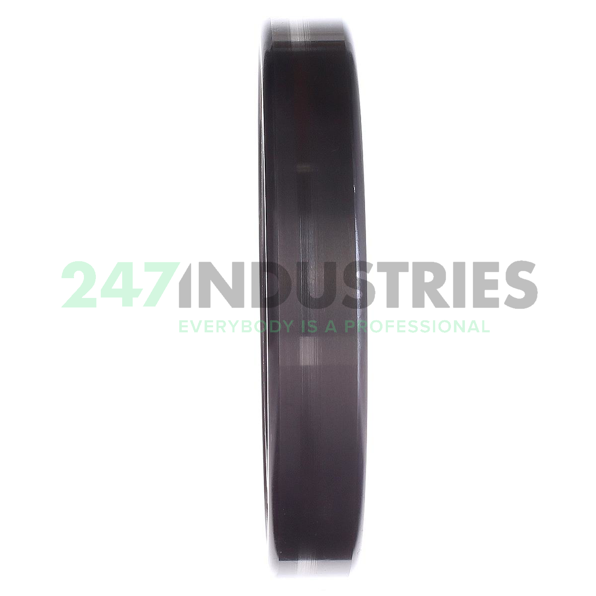 NU1024-XL-M1A-C3 FAG Image 4