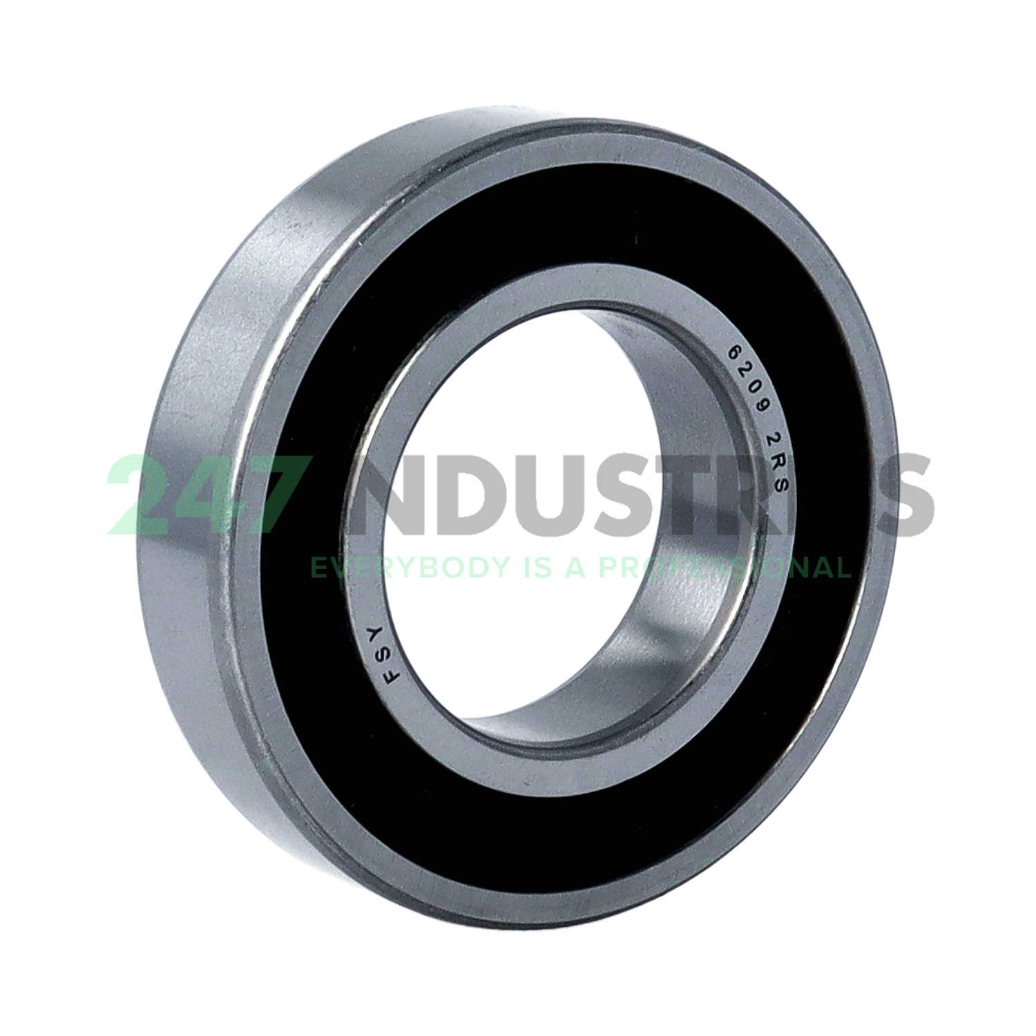 6209 2RS FSY Image 1