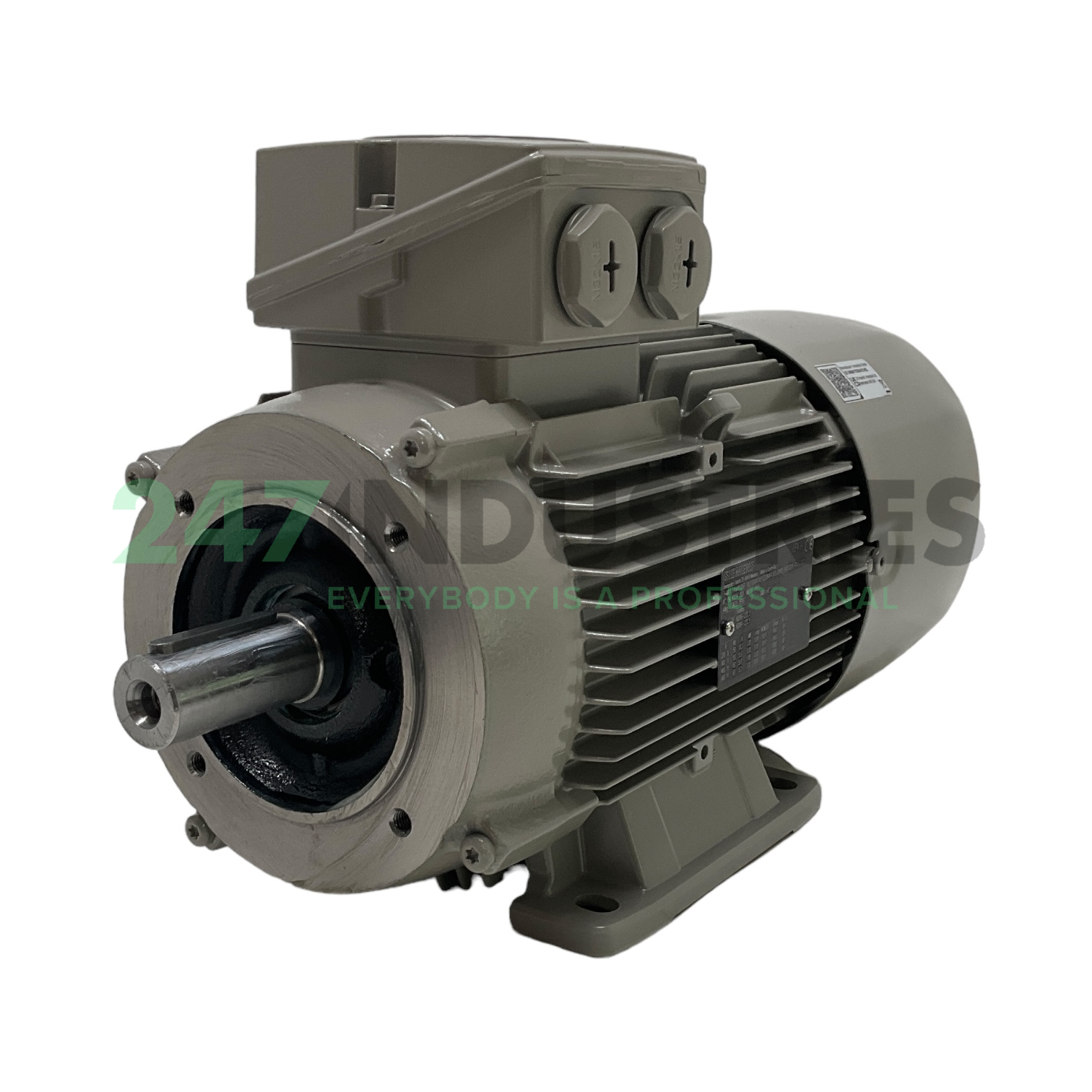 1LE1004-1AB52-2NA4 Siemens