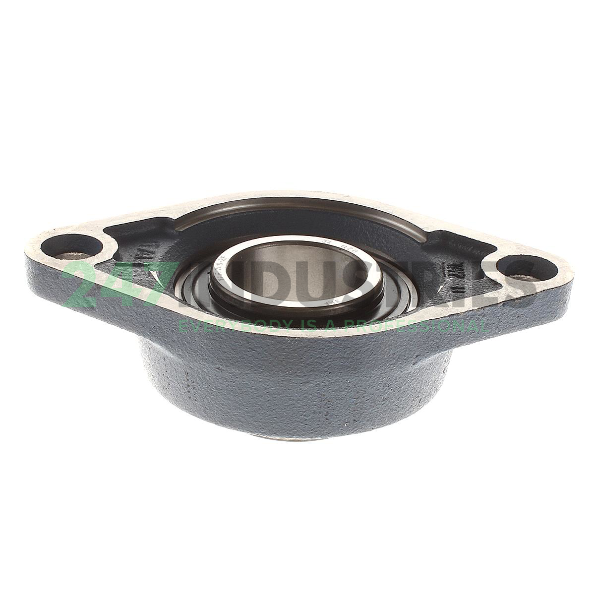 FYTB45TF SKF Image 2