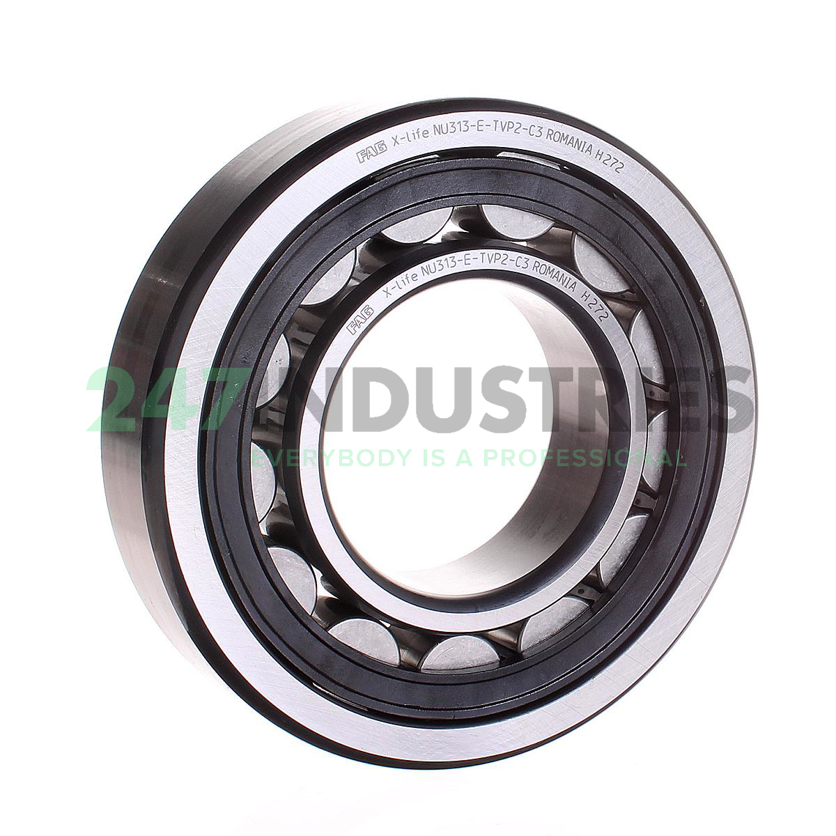 NU313-E-TVP2-C3 FAG