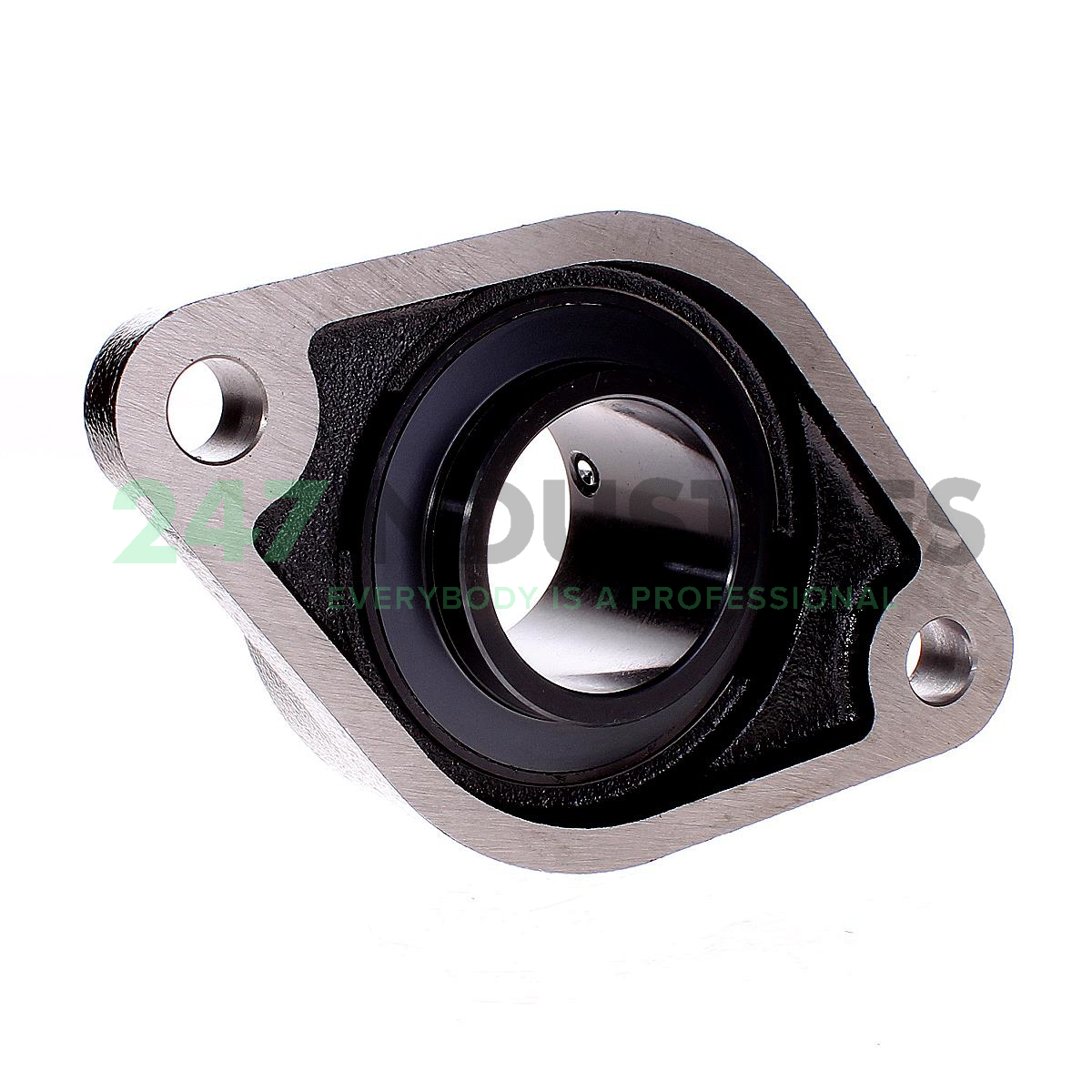 UCFL215-46-J7 FAG Image 2