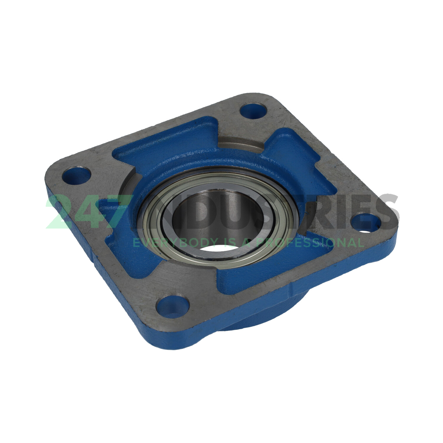 USFE.209 SNR Image 2