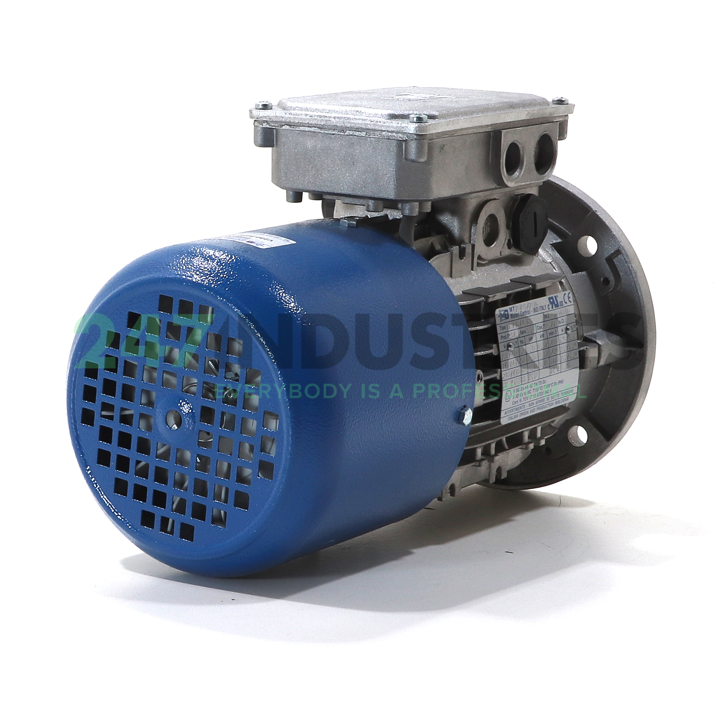 TF71B/4-B5 MT Motori Elettrici Image 4