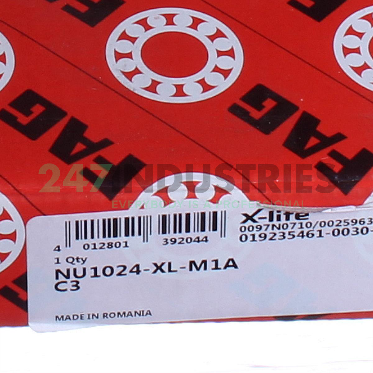 NU1024-XL-M1A-C3 FAG Image 6