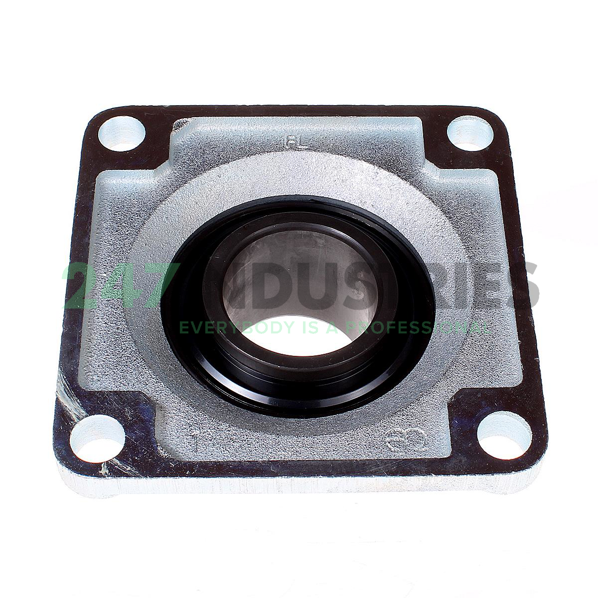 FY60TF/VA228 SKF Image 2