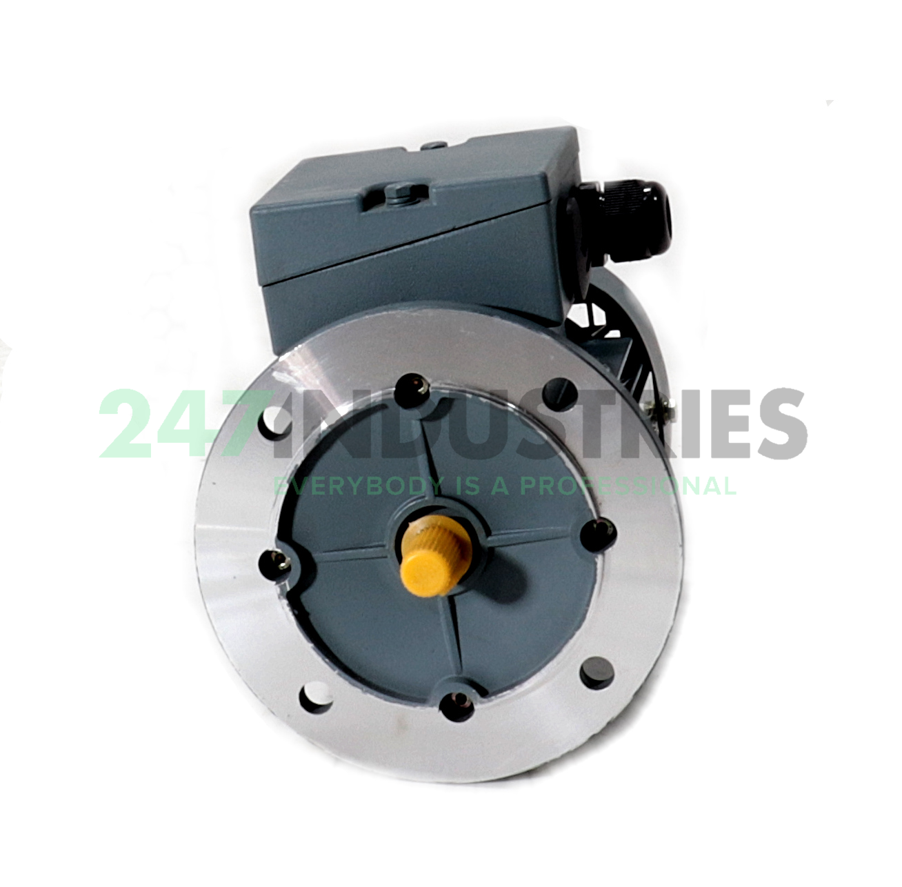 GA63K-2-B5 Giss Image 2