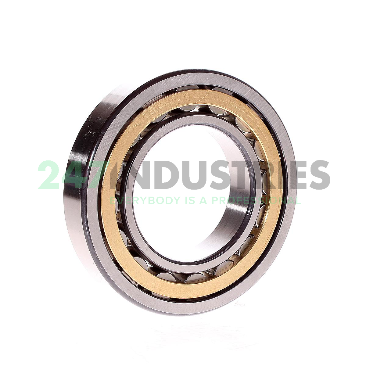 NU213-E-XL-M1 FAG Image 3