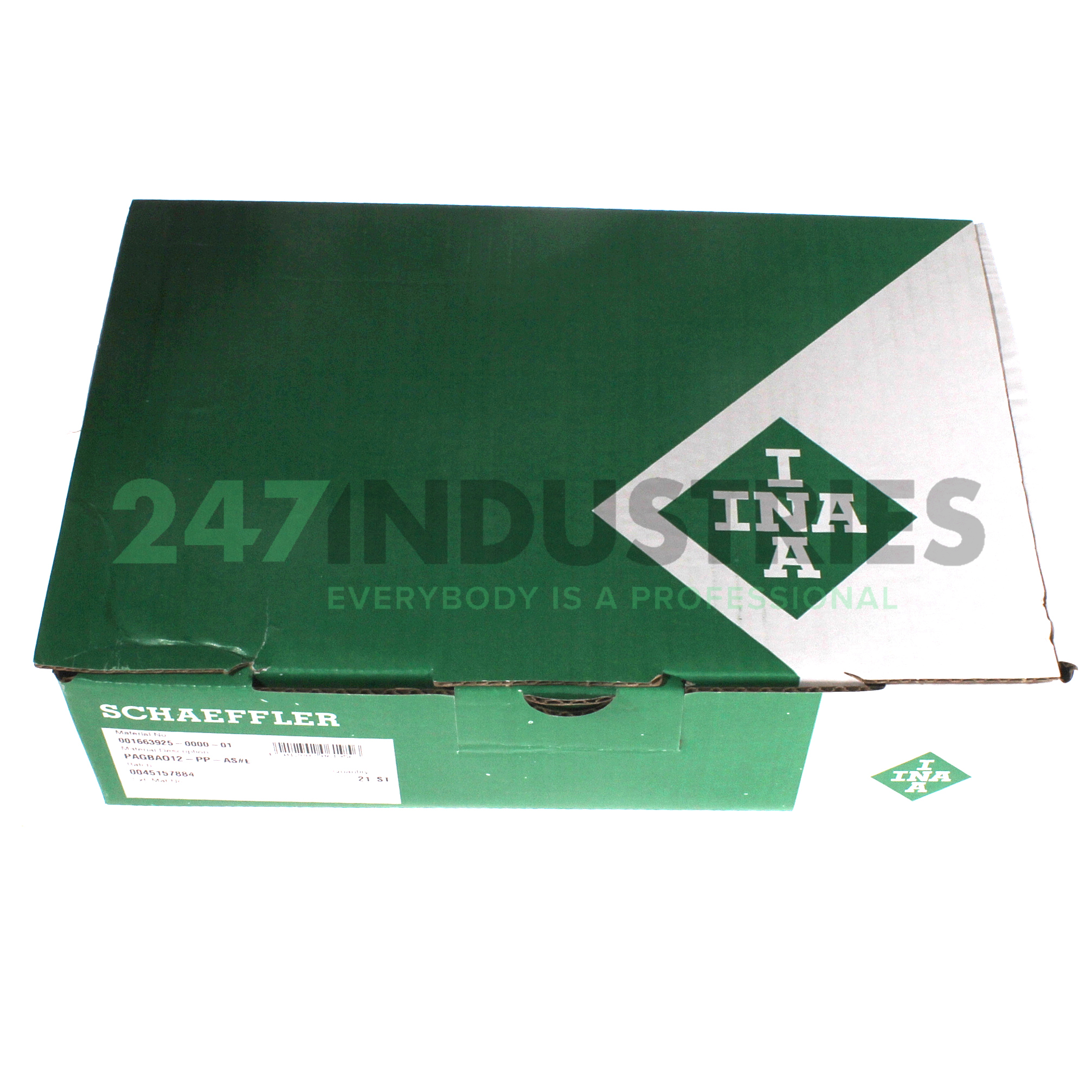 PAGBAO12-PP-AS INA Image 4