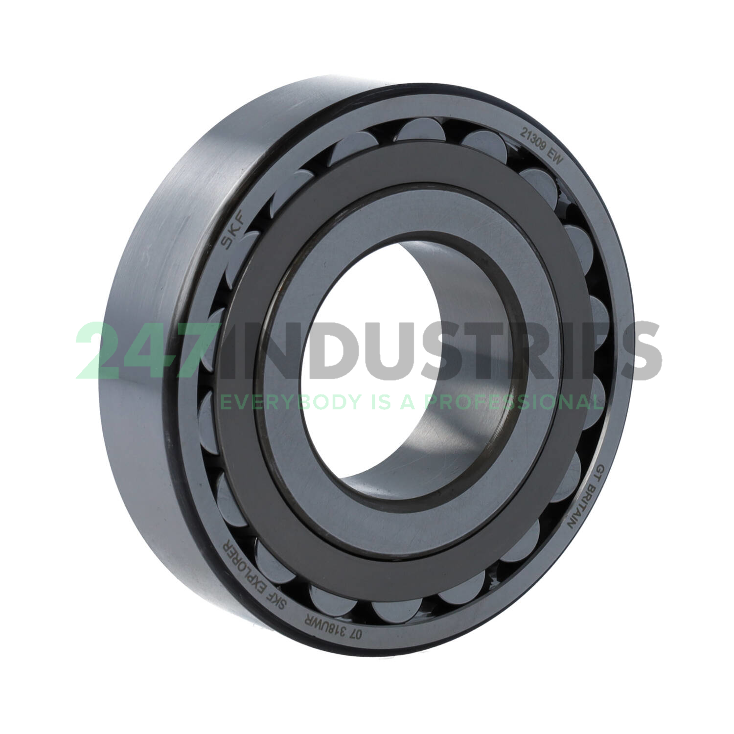 21309EW SKF