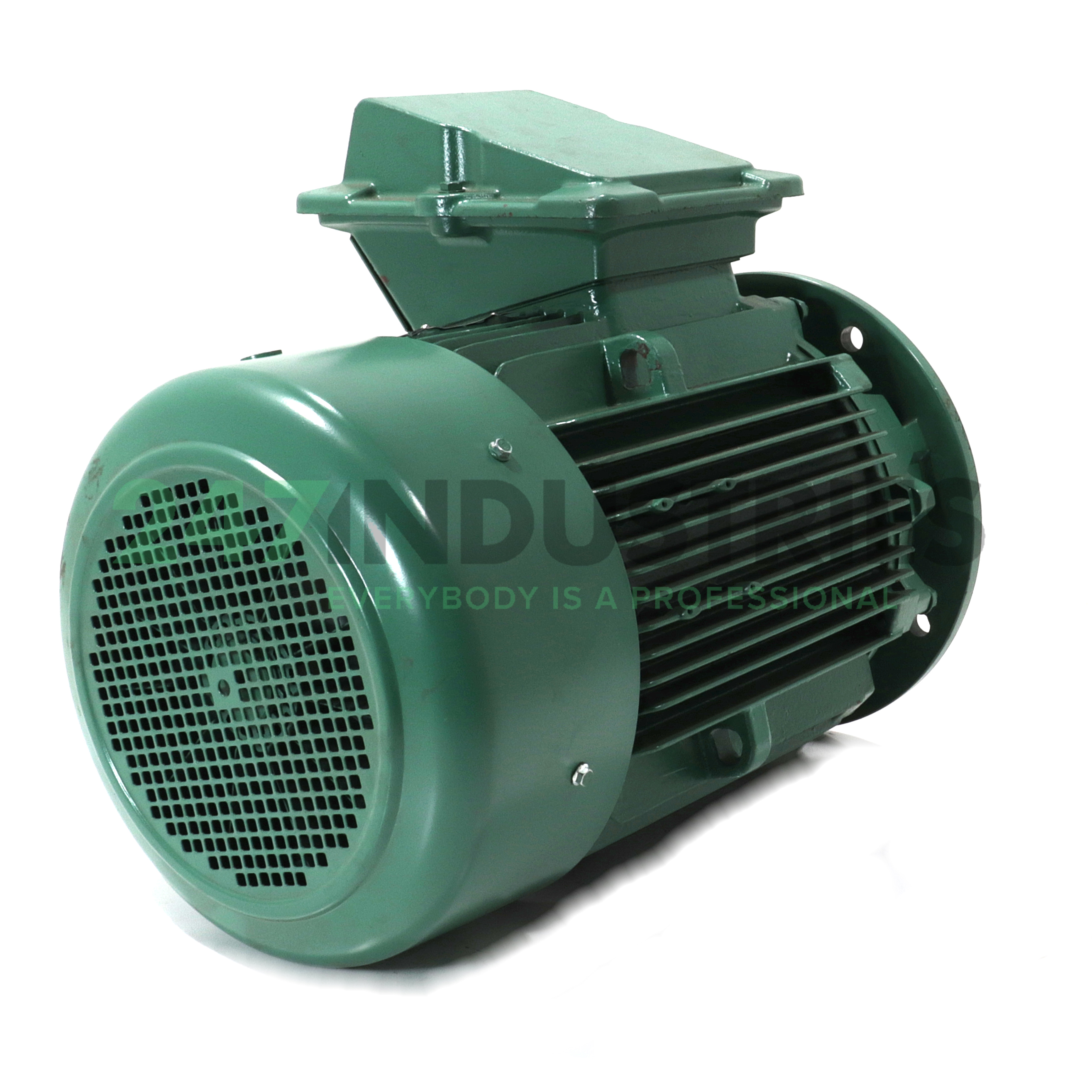 FLSES180MT-B5 Leroy Somer Image 3