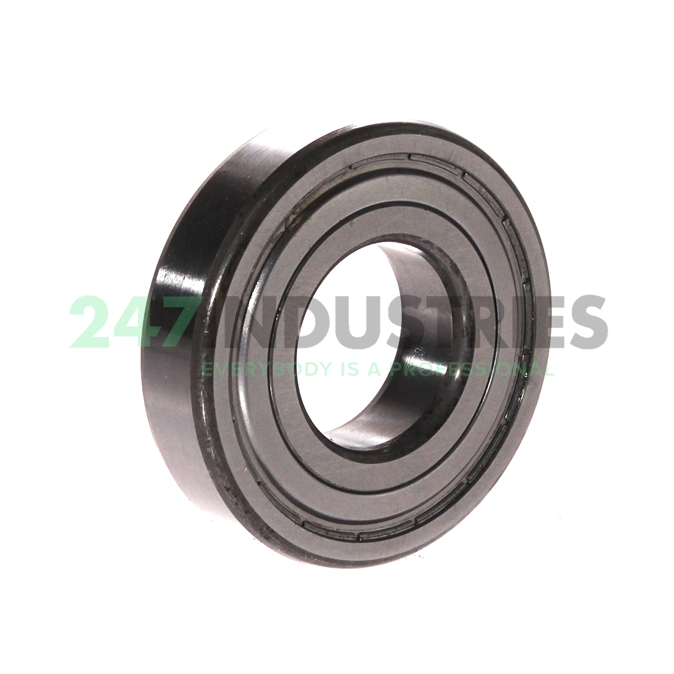RLS9-2Z SKF Image 2