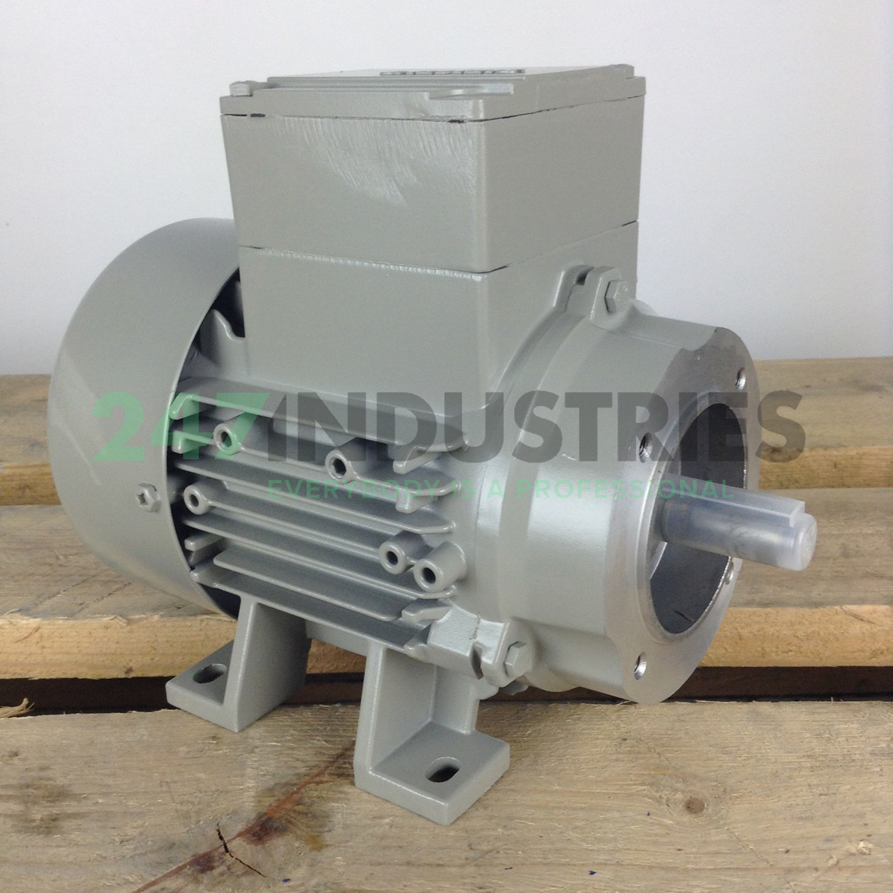 1LE1002-0BB22-2NA4 Siemens Image 4