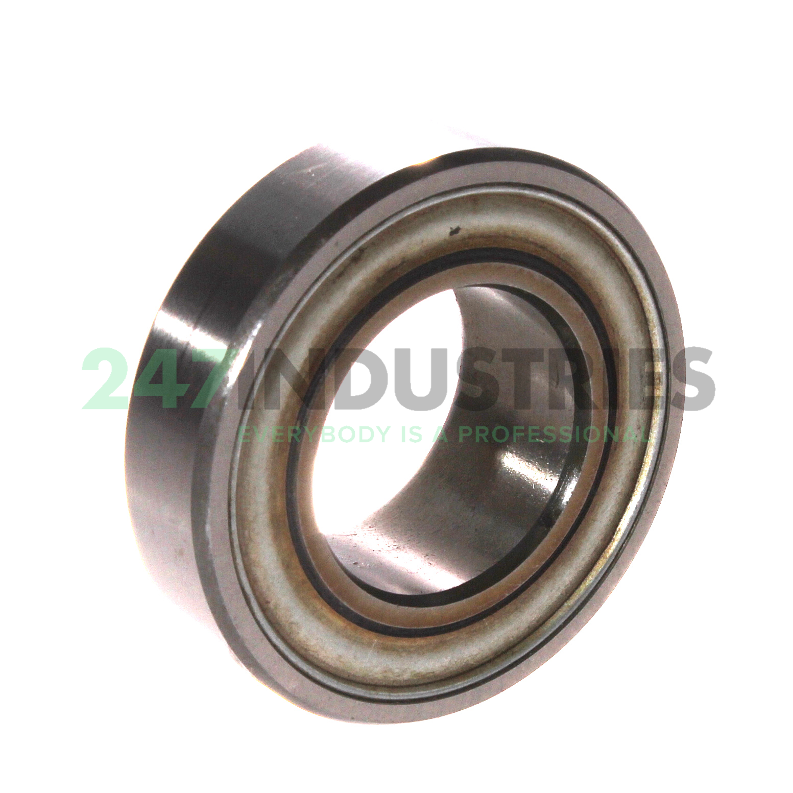 RALE25-NPP INA Image 2