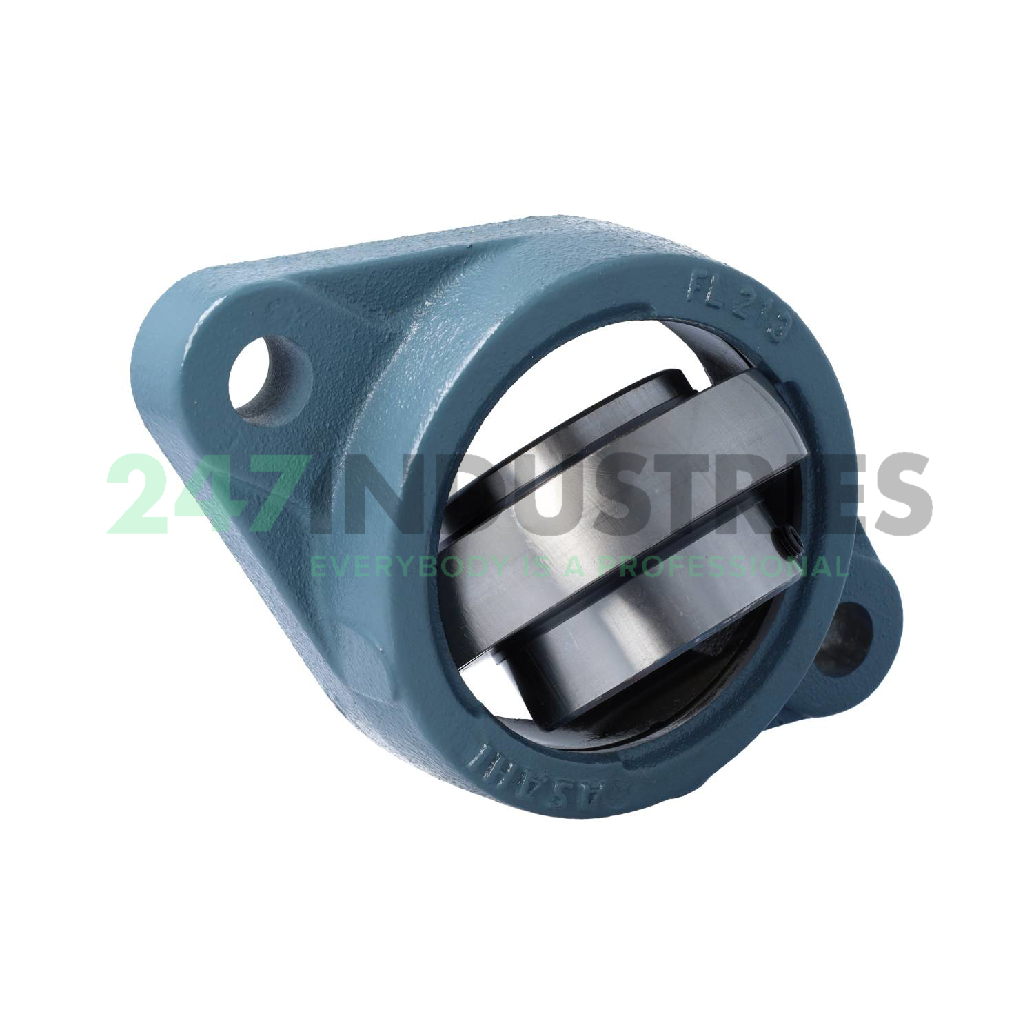 UCFL213 Asahi Image 2