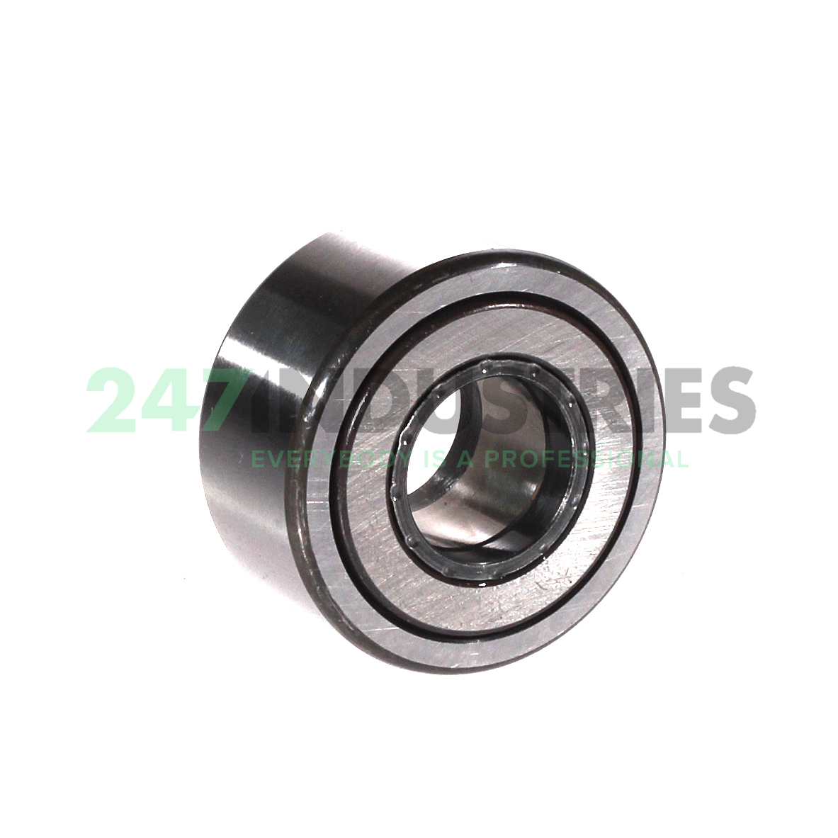 NATR17 INA Image 2