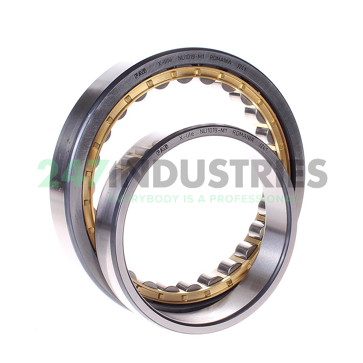 NU1019-M1 FAG Image 2
