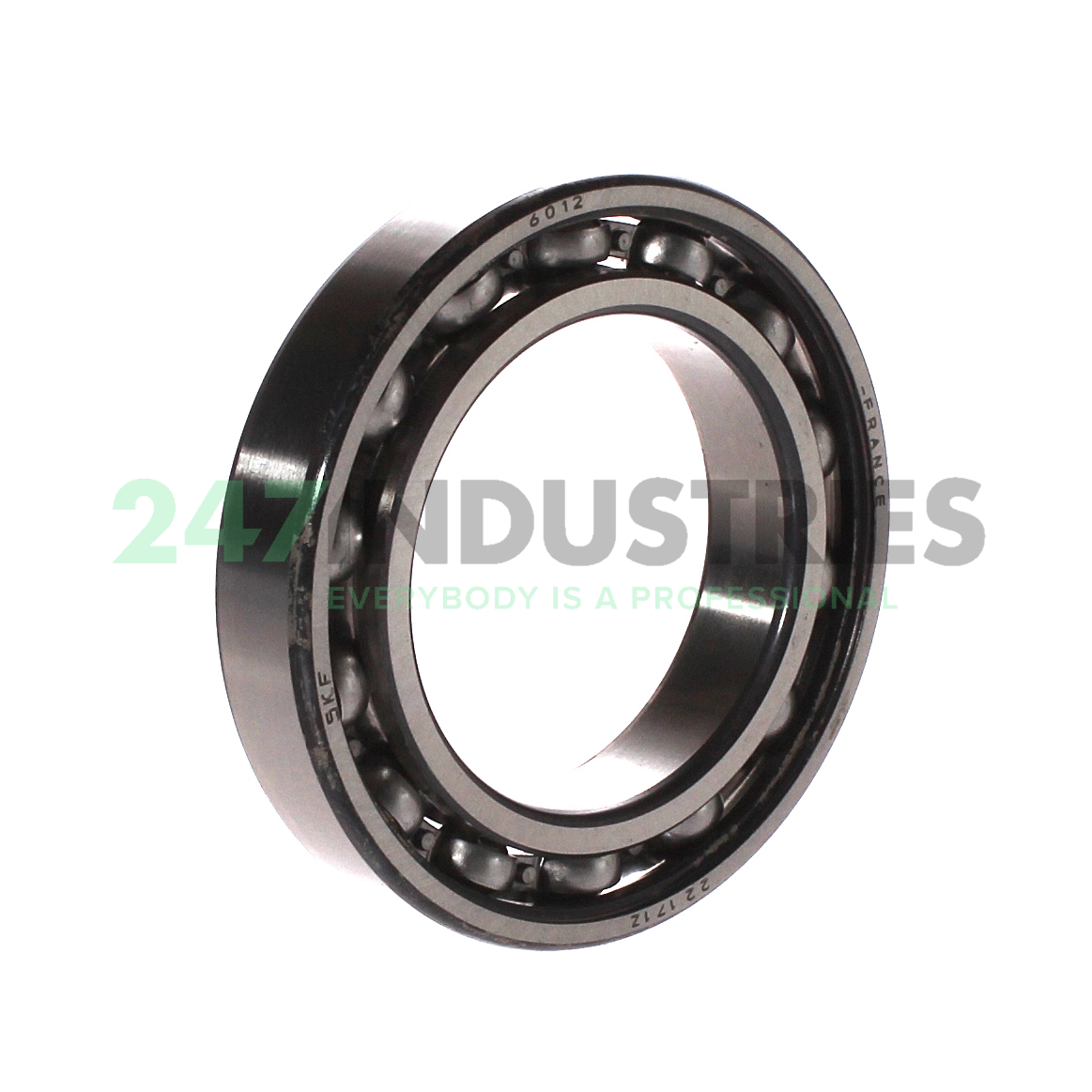 6012 SKF