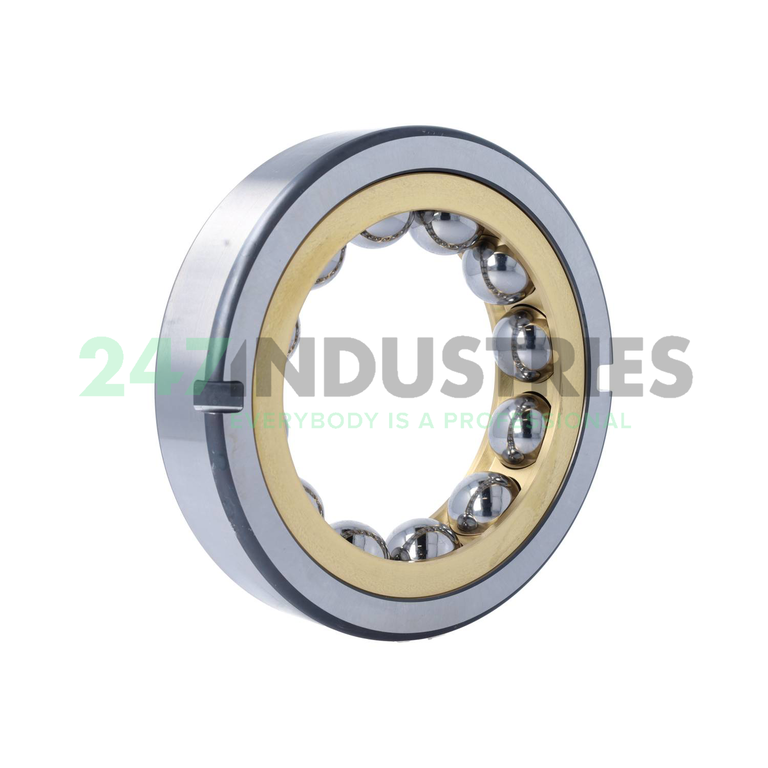 QJ318-N2-MPA FAG Image 2