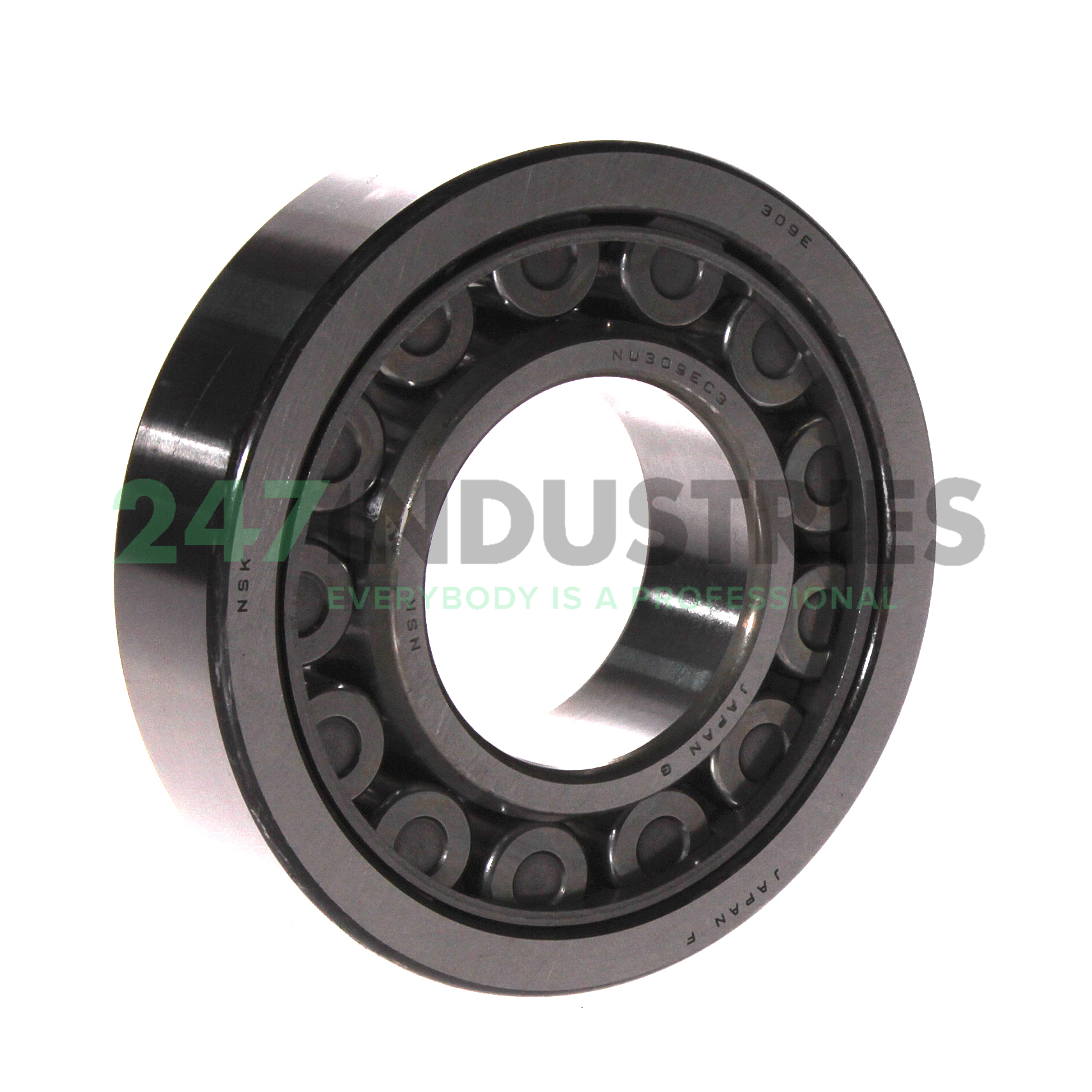 NU309EW C3 NSK