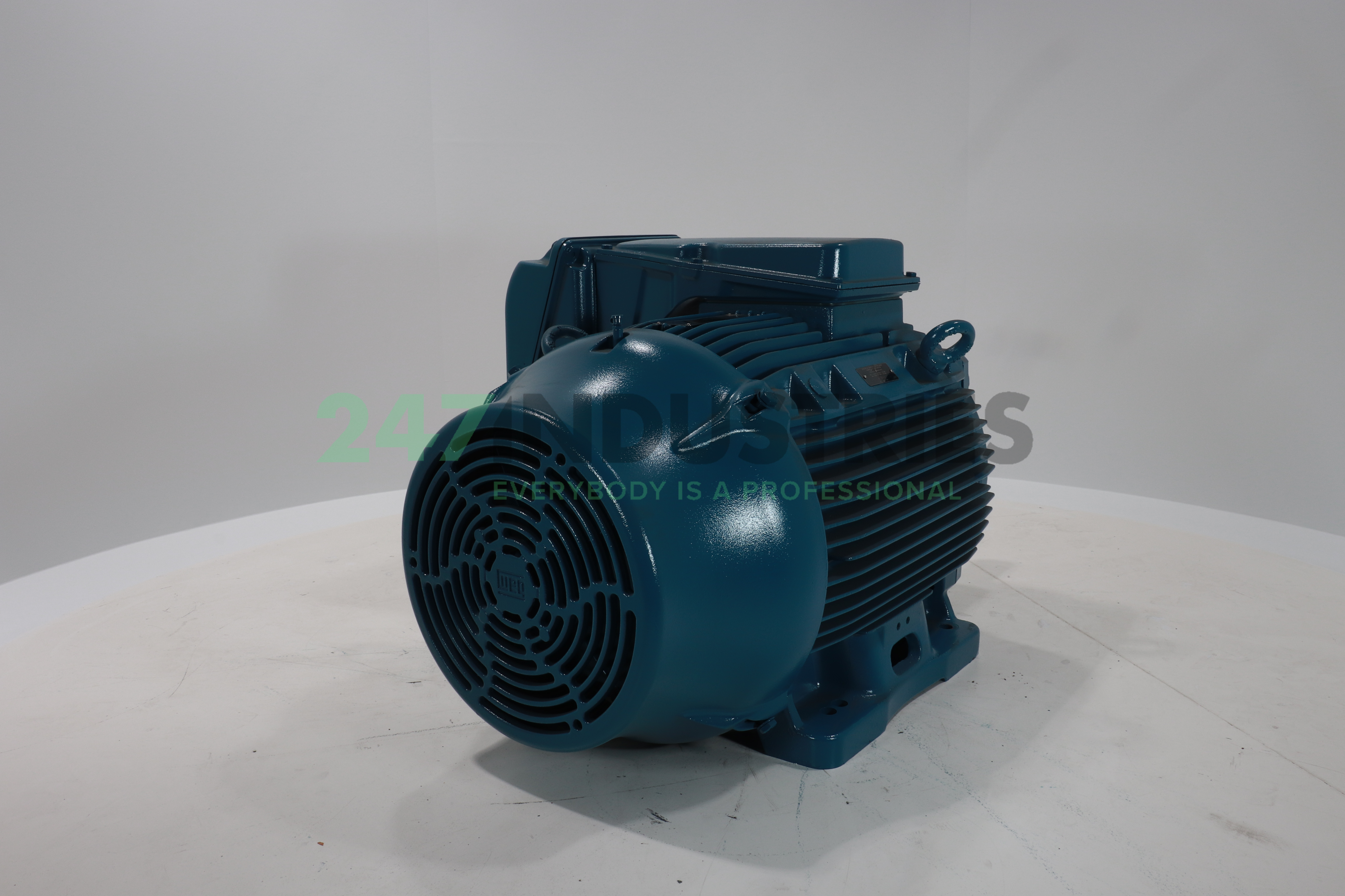 45K31CI3225S/M2B3 WEG Image 3