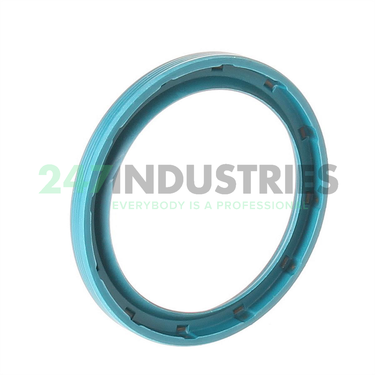 G35X45X4-C INA Image 1