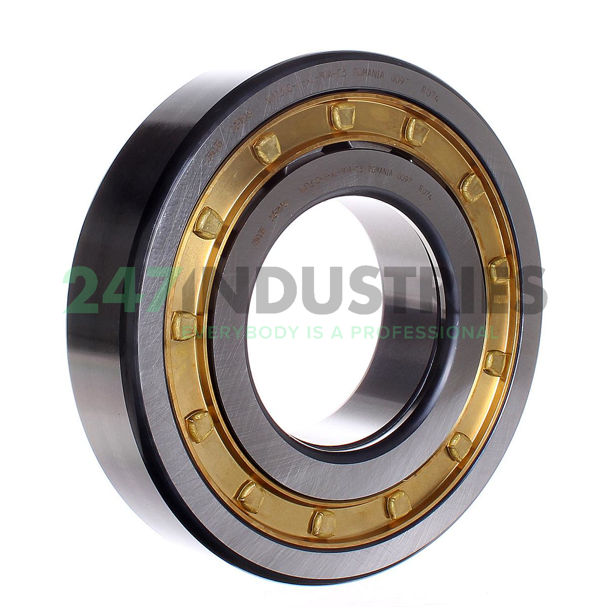 NUP318-E-XL-M1A-C3 FAG