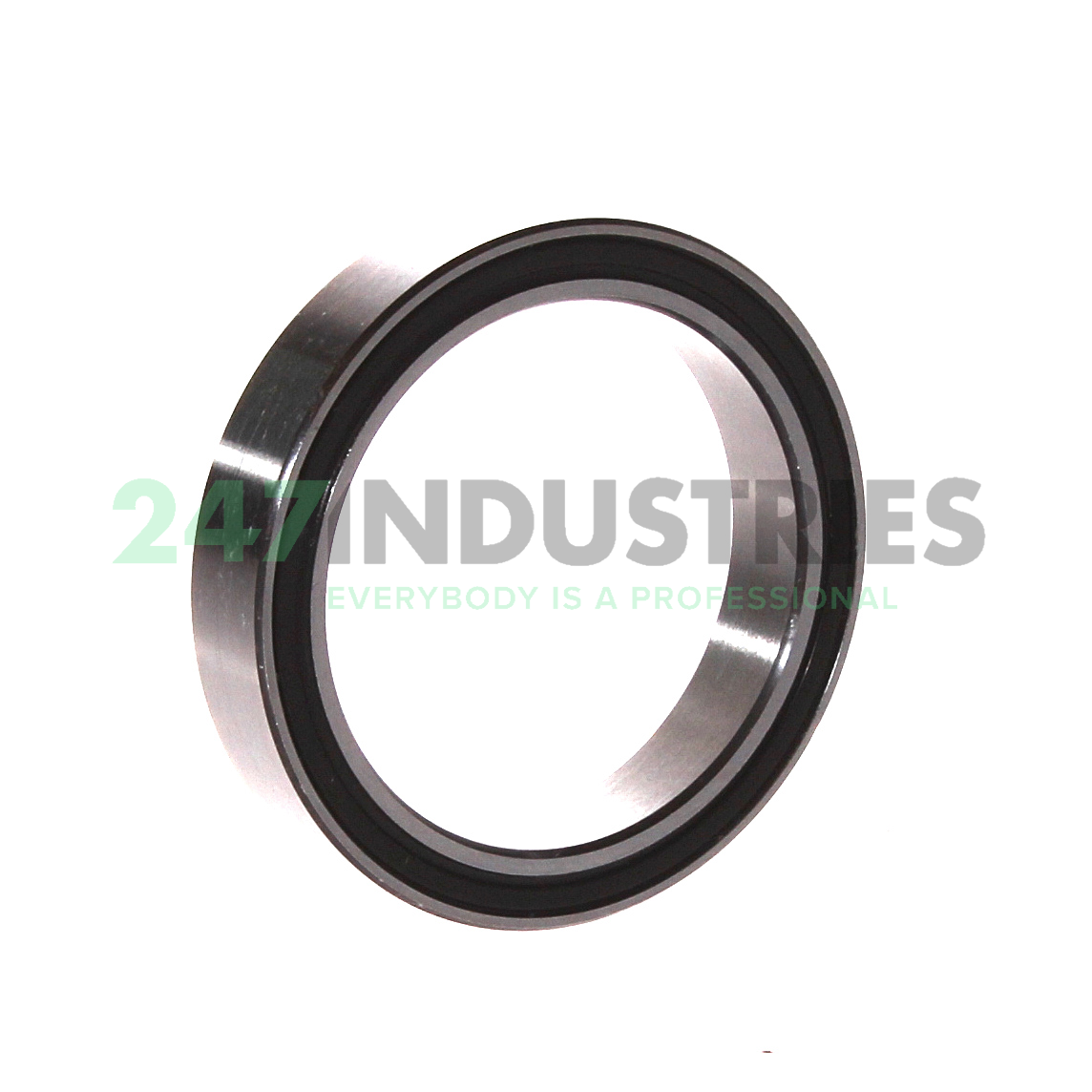 3808-2RS INA Image 2