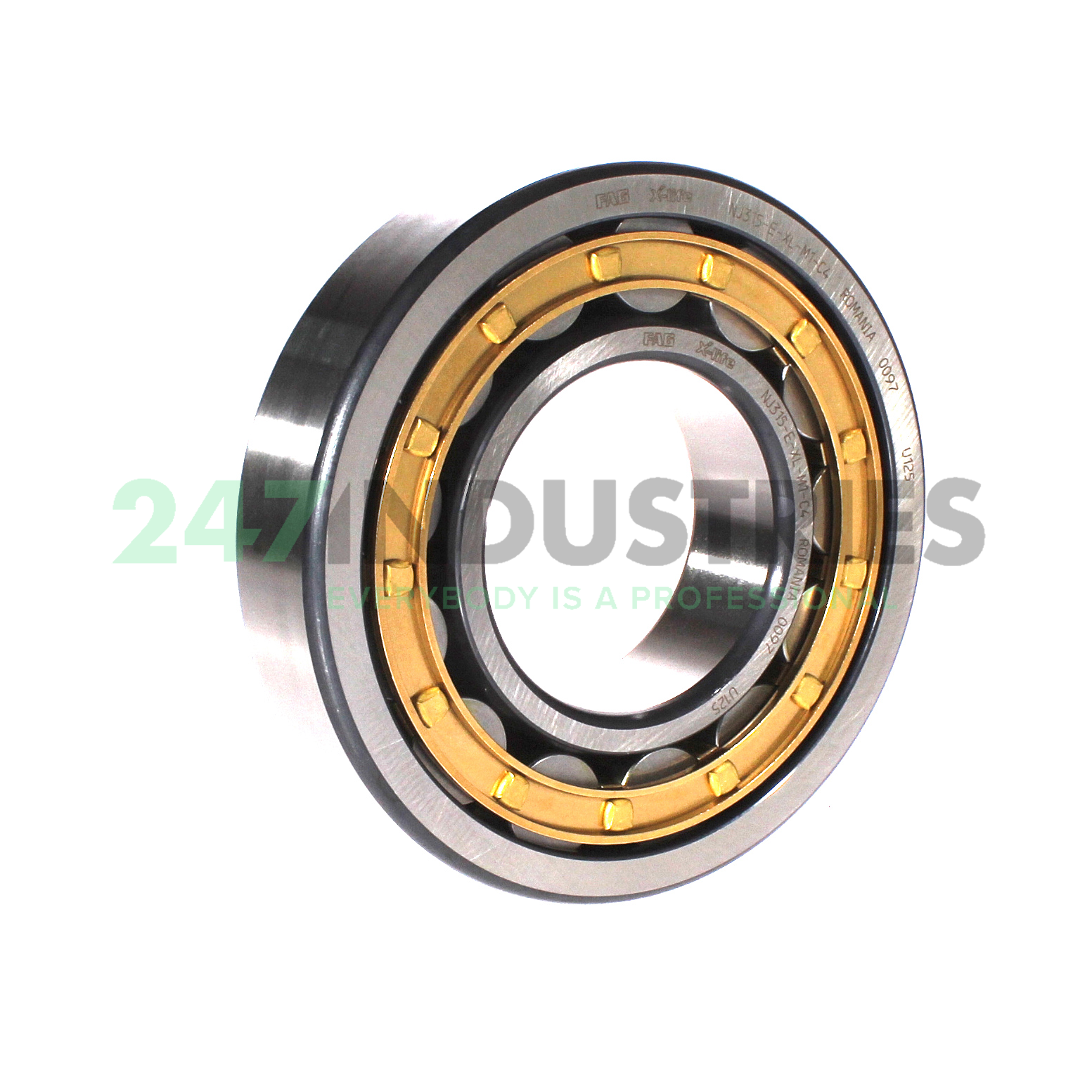 NJ315-E-XL-M1-C4 FAG