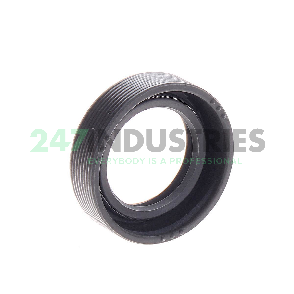 CR16X24X7HMSA10RG1 SKF Image 2