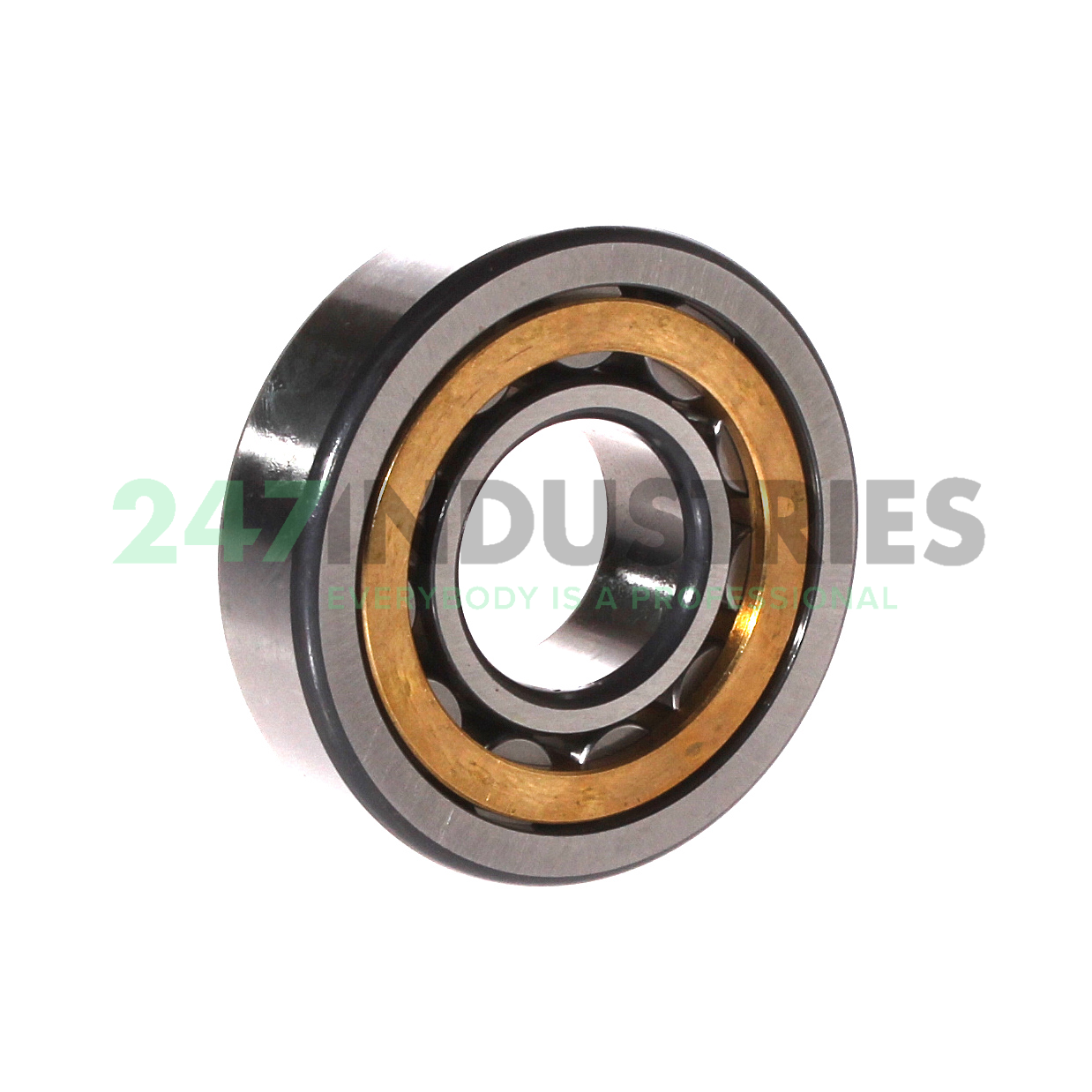 NU305-E-XL-M1-C3 FAG Image 3