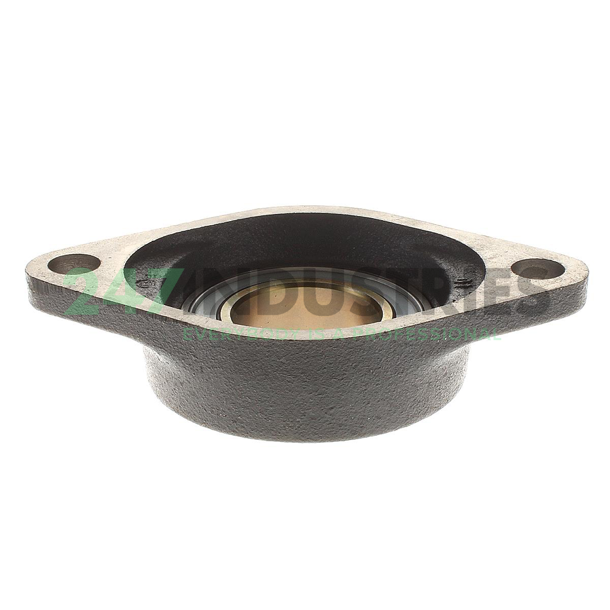 PCJT50 FA319.1 INA Image 2